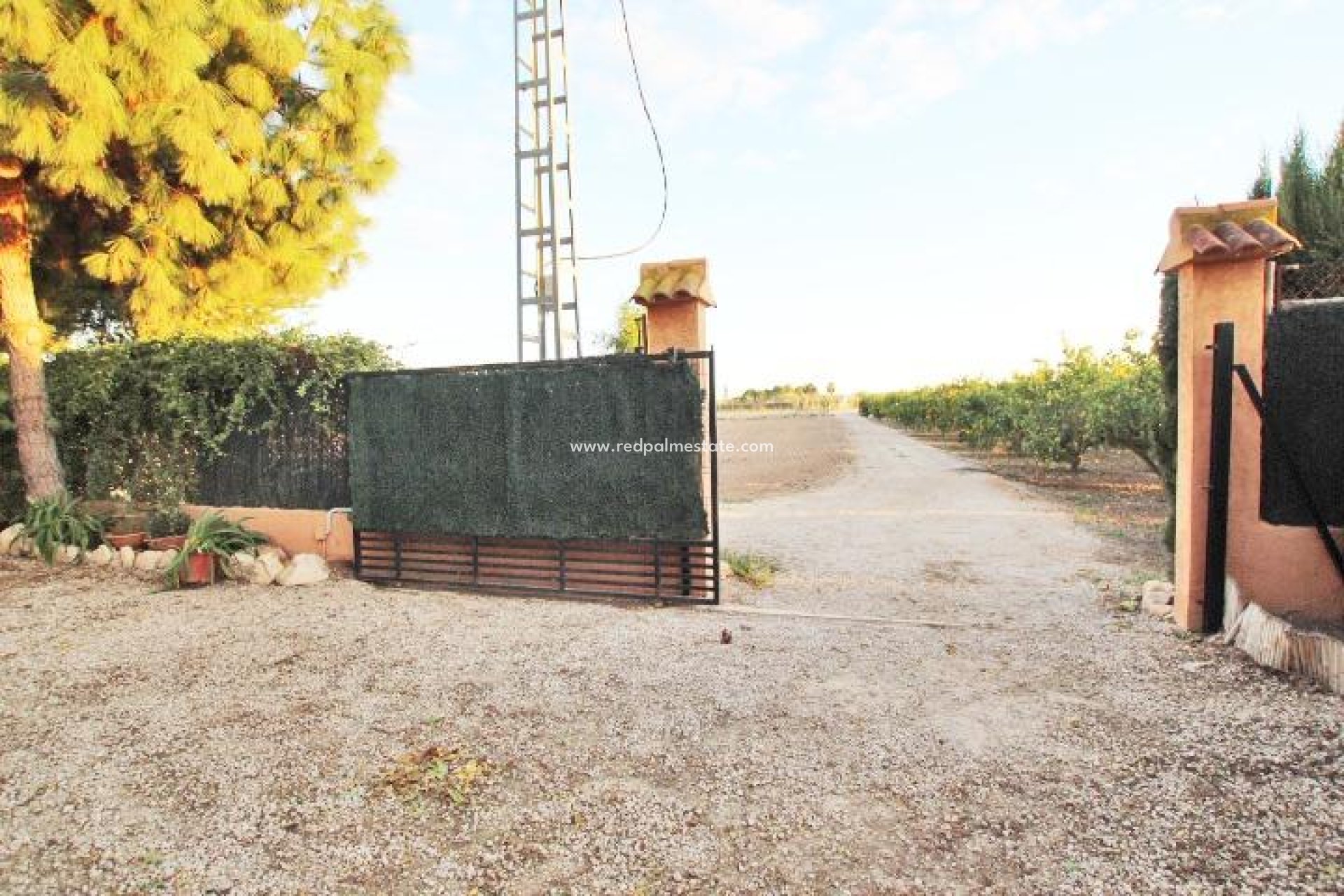 Resale - Finca / Country Property -
Almoradí