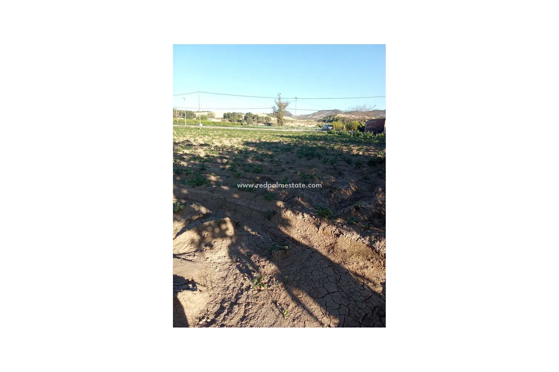 Resale - Finca / Country Property -
Arneva - LOS DESAMPARADOS