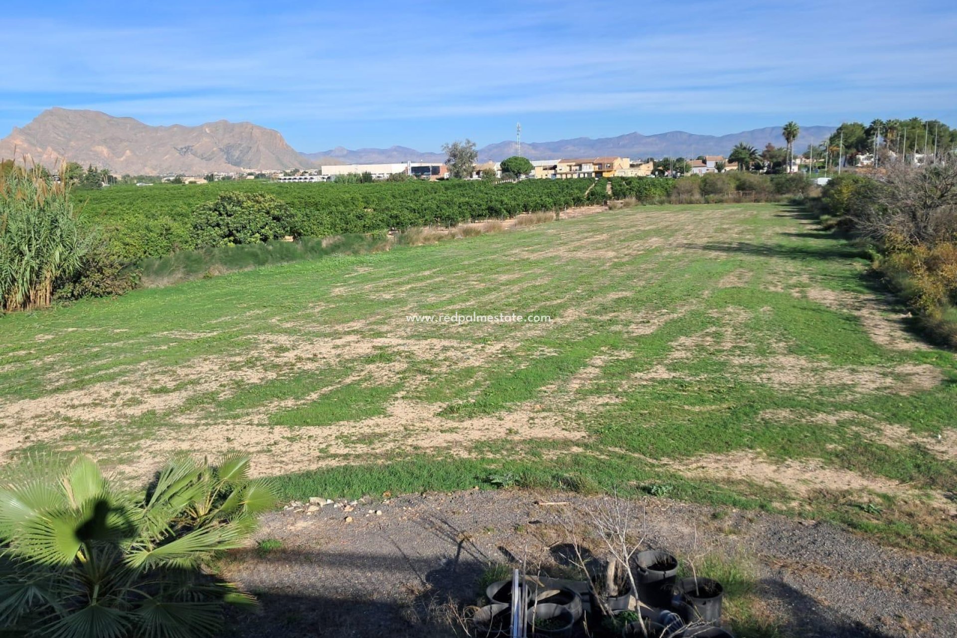 Resale - Finca / Country Property -
Benejúzar