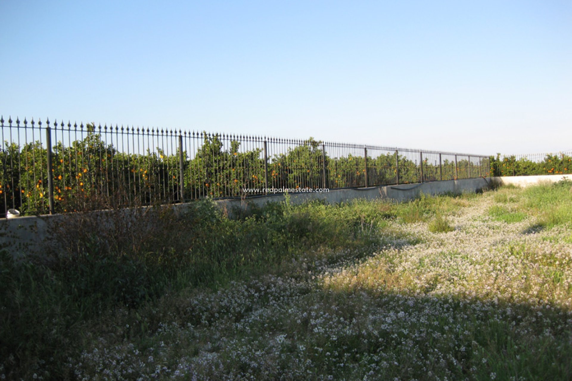 Resale - Finca / Country Property -
Benferri - Inland