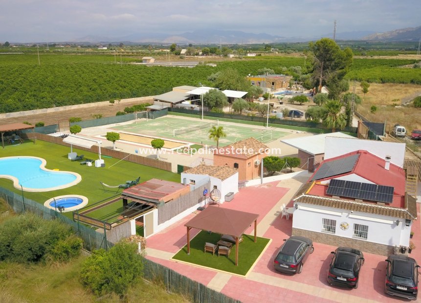 Resale - Finca / Country Property -
Benferri