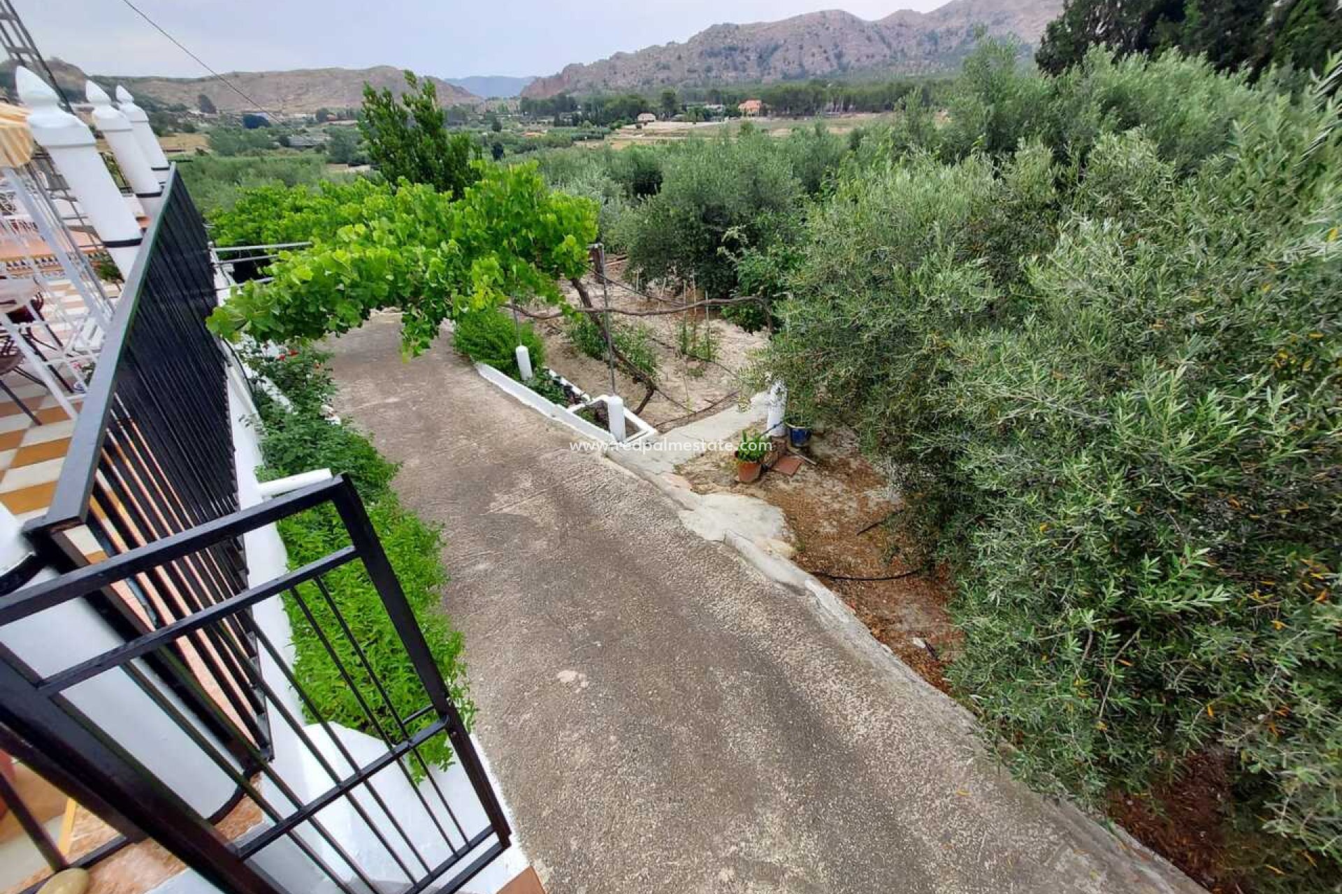 Resale - Finca / Country Property -
Calasparra - Inland