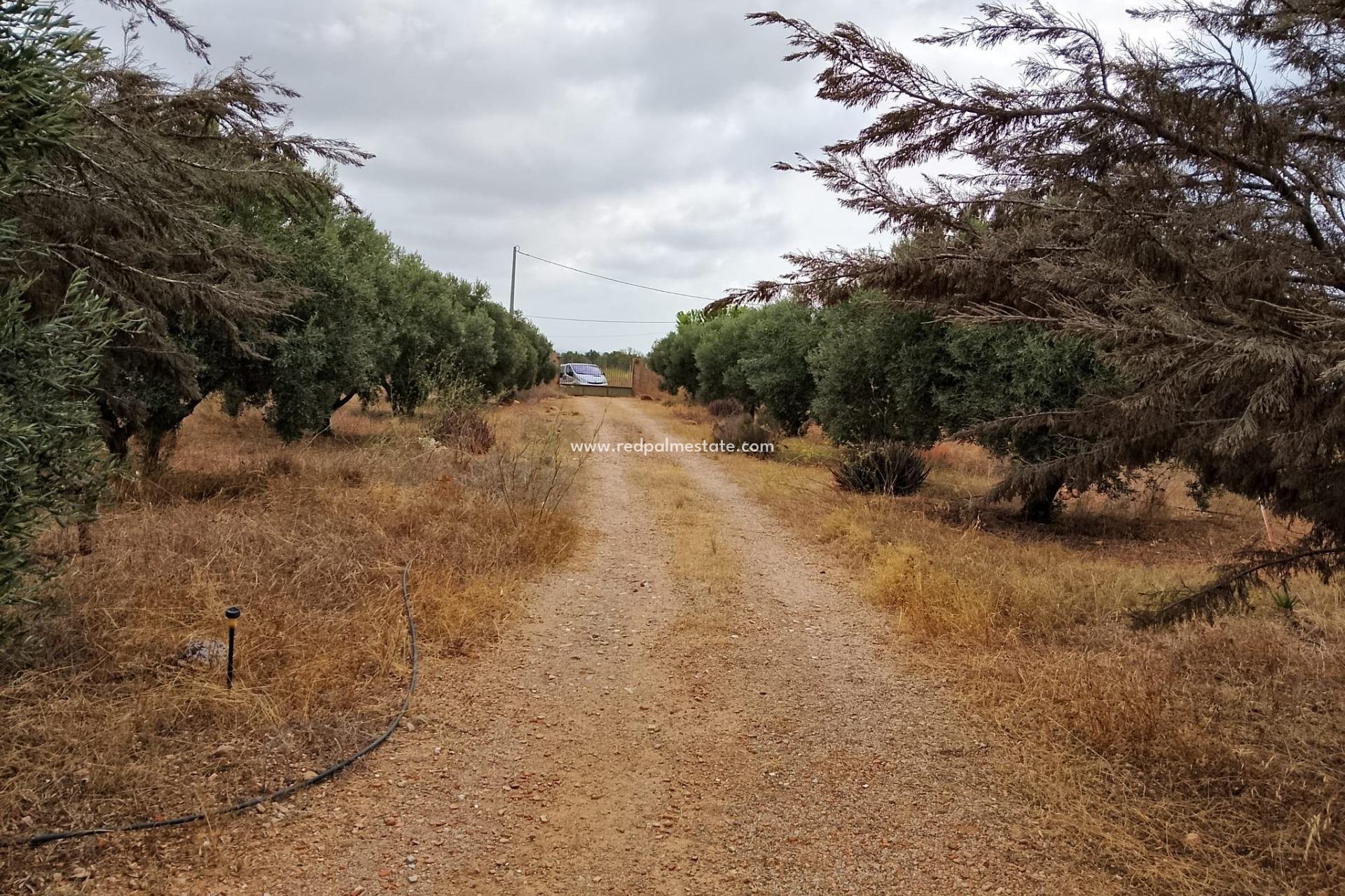 Resale - Finca / Country Property -
Cartagena - La Magdalena