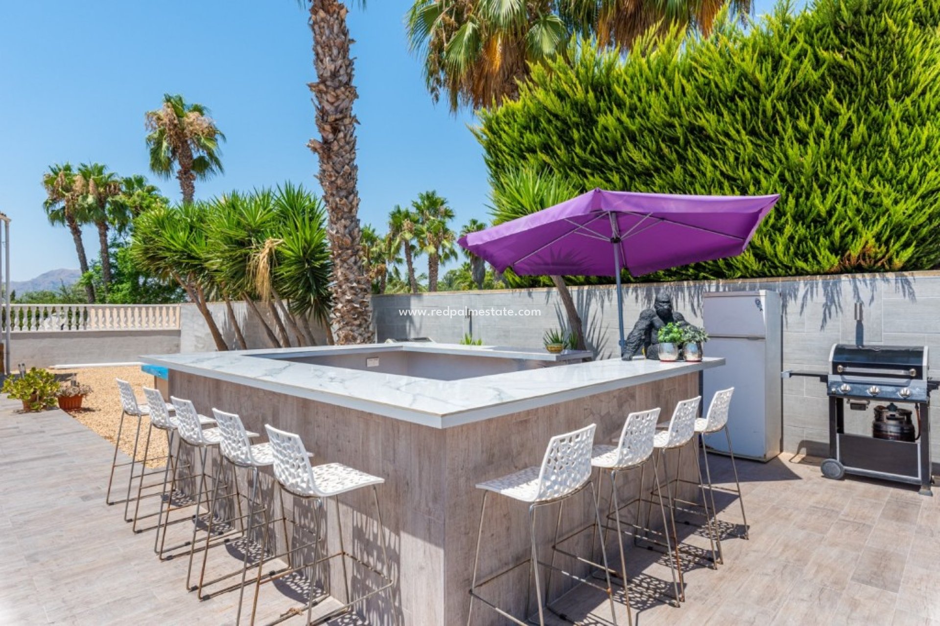 Resale - Finca / Country Property -
Catral