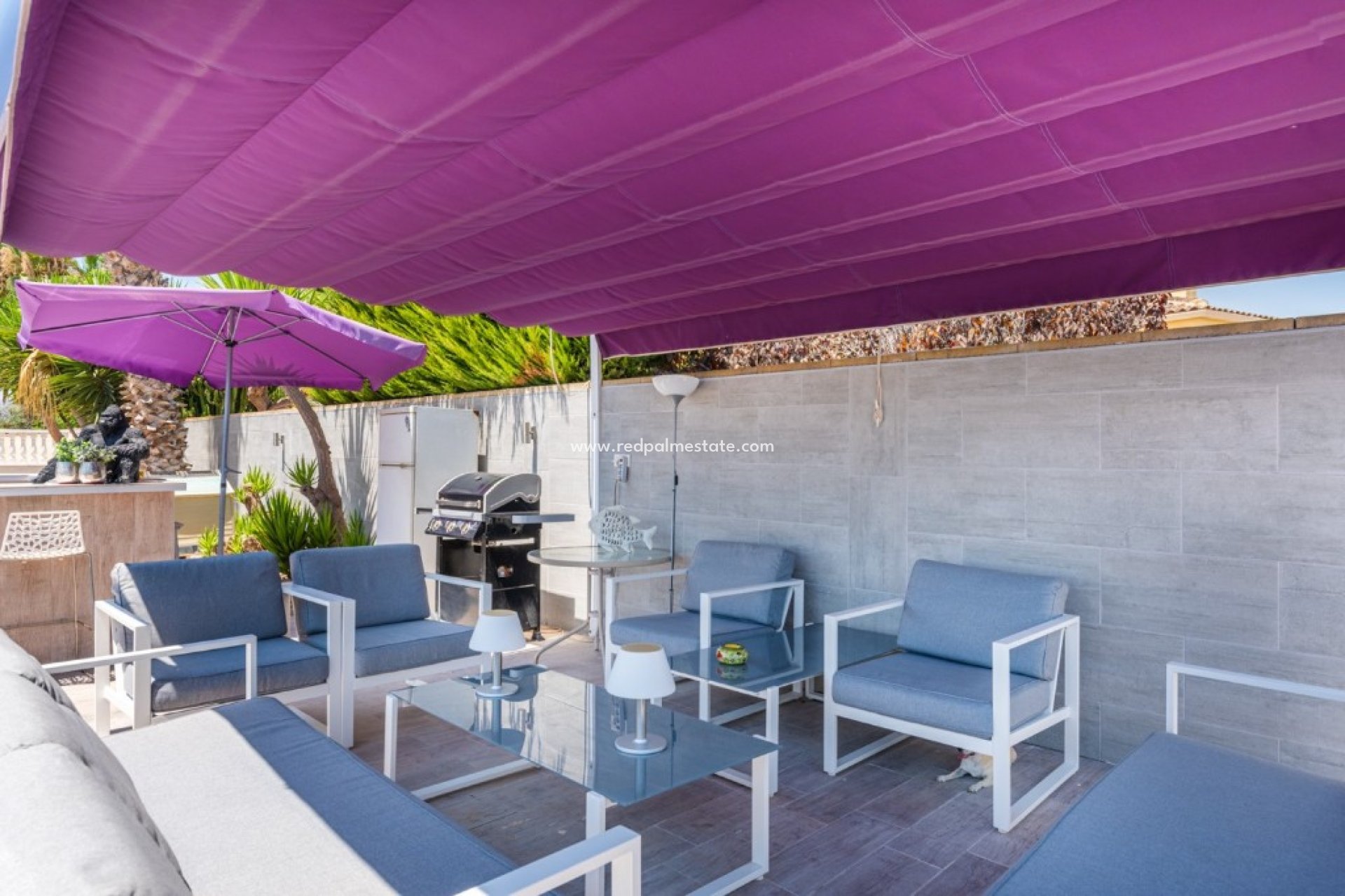 Resale - Finca / Country Property -
Catral