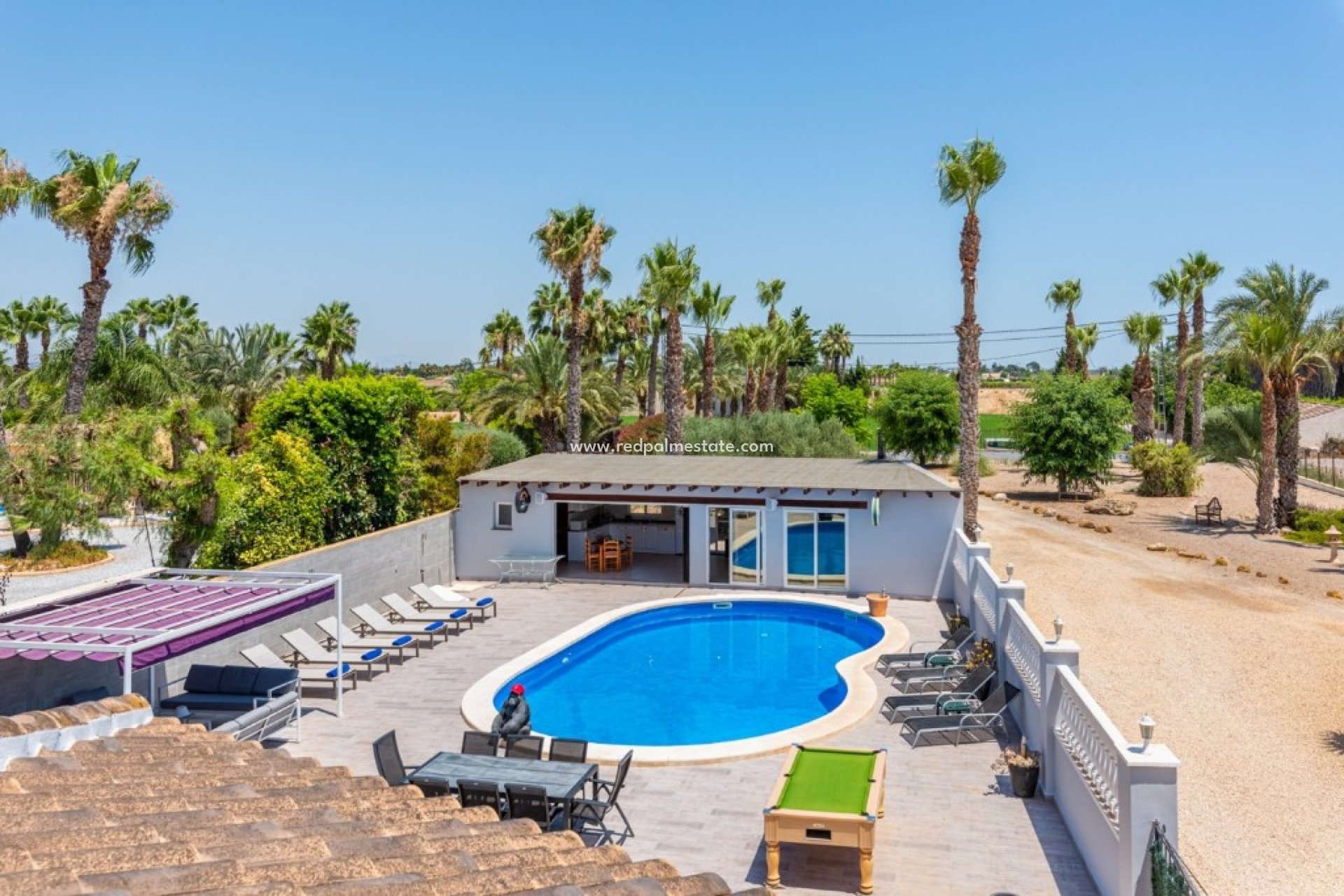 Resale - Finca / Country Property -
Catral