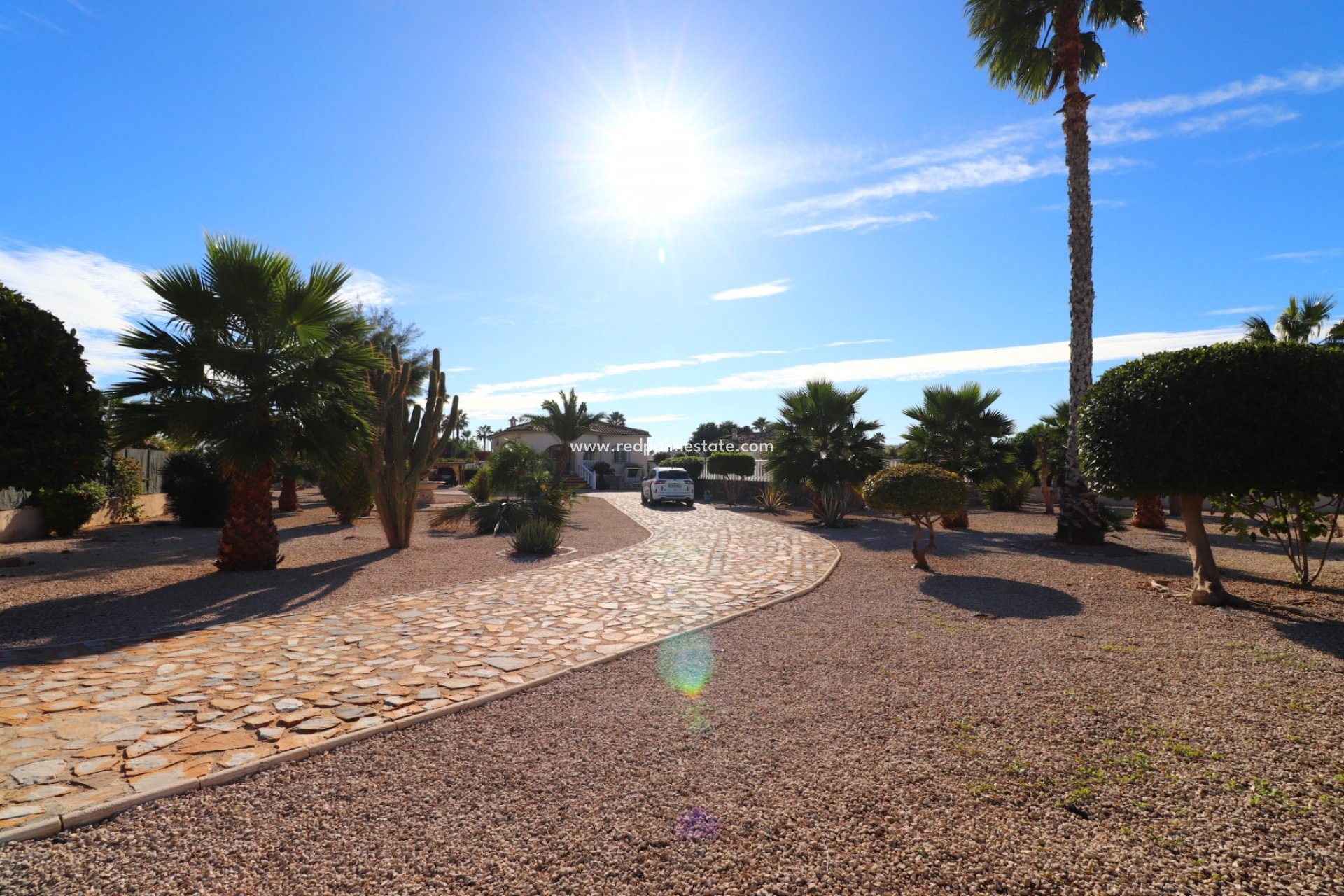 Resale - Finca / Country Property -
Catral