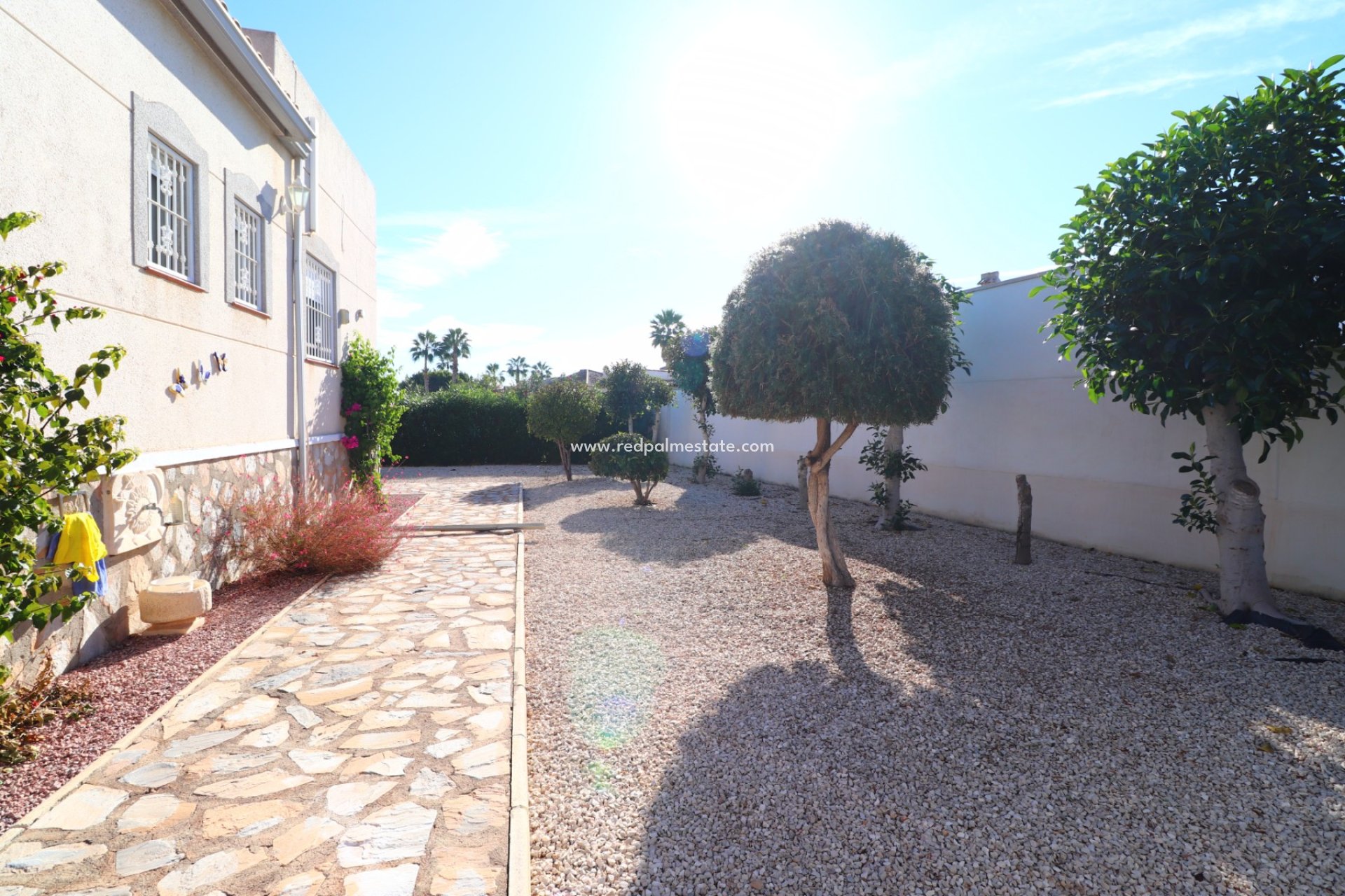 Resale - Finca / Country Property -
Catral