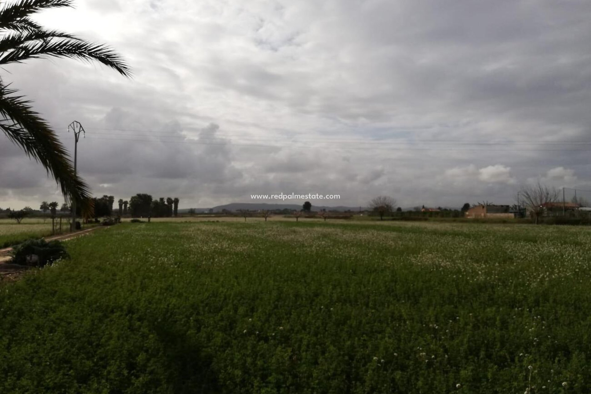 Resale - Finca / Country Property -
Cox - Costa Blanca