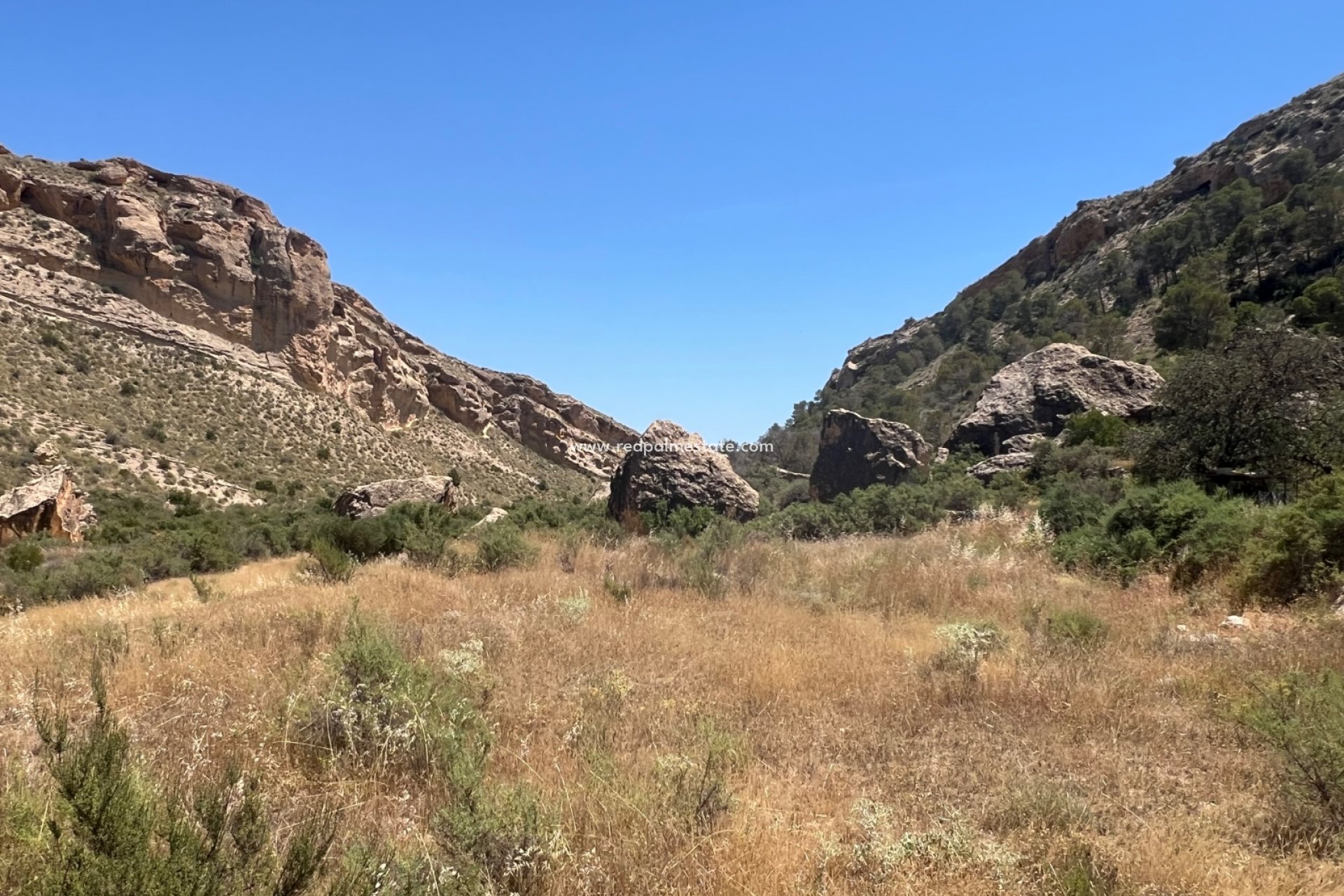 Resale - Finca / Country Property -
Crevillente - Inland