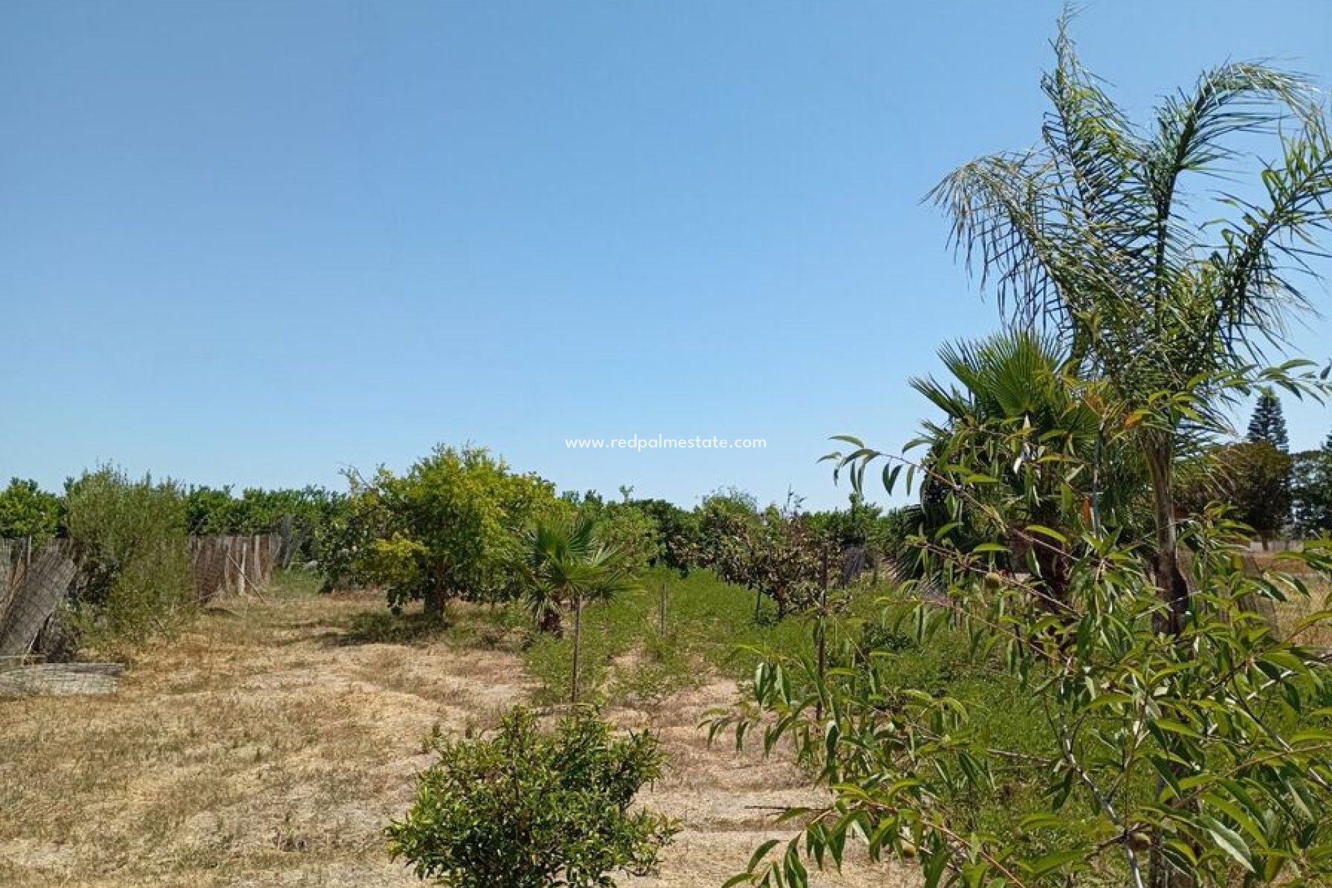 Resale - Finca / Country Property -
Daya Nueva - Costa Blanca