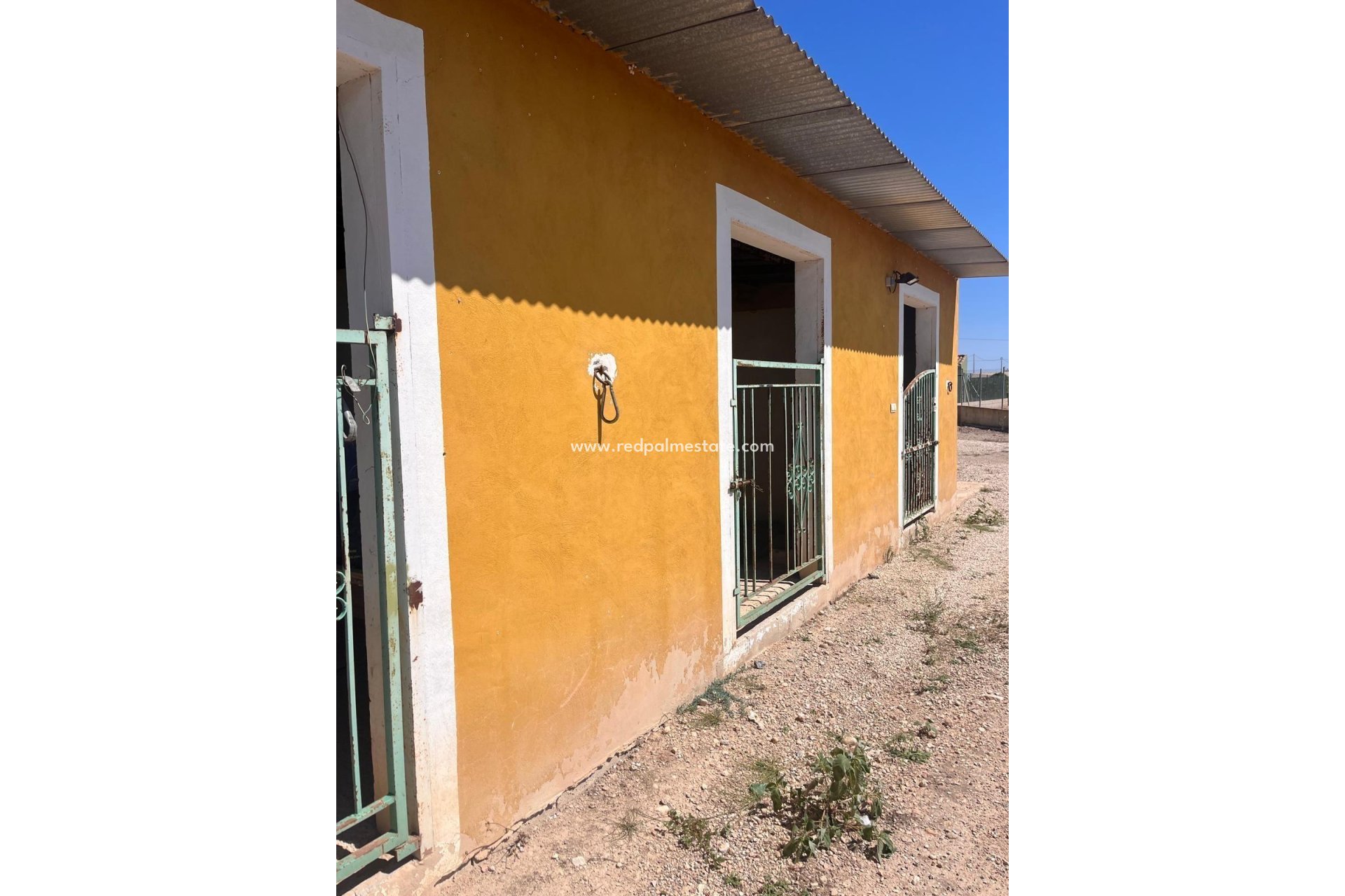 Resale - Finca / Country Property -
Daya Nueva - La Bodega