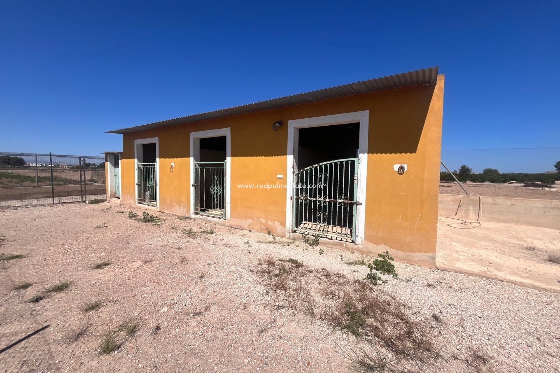 Resale - Finca / Country Property -
Daya Nueva - La Bodega