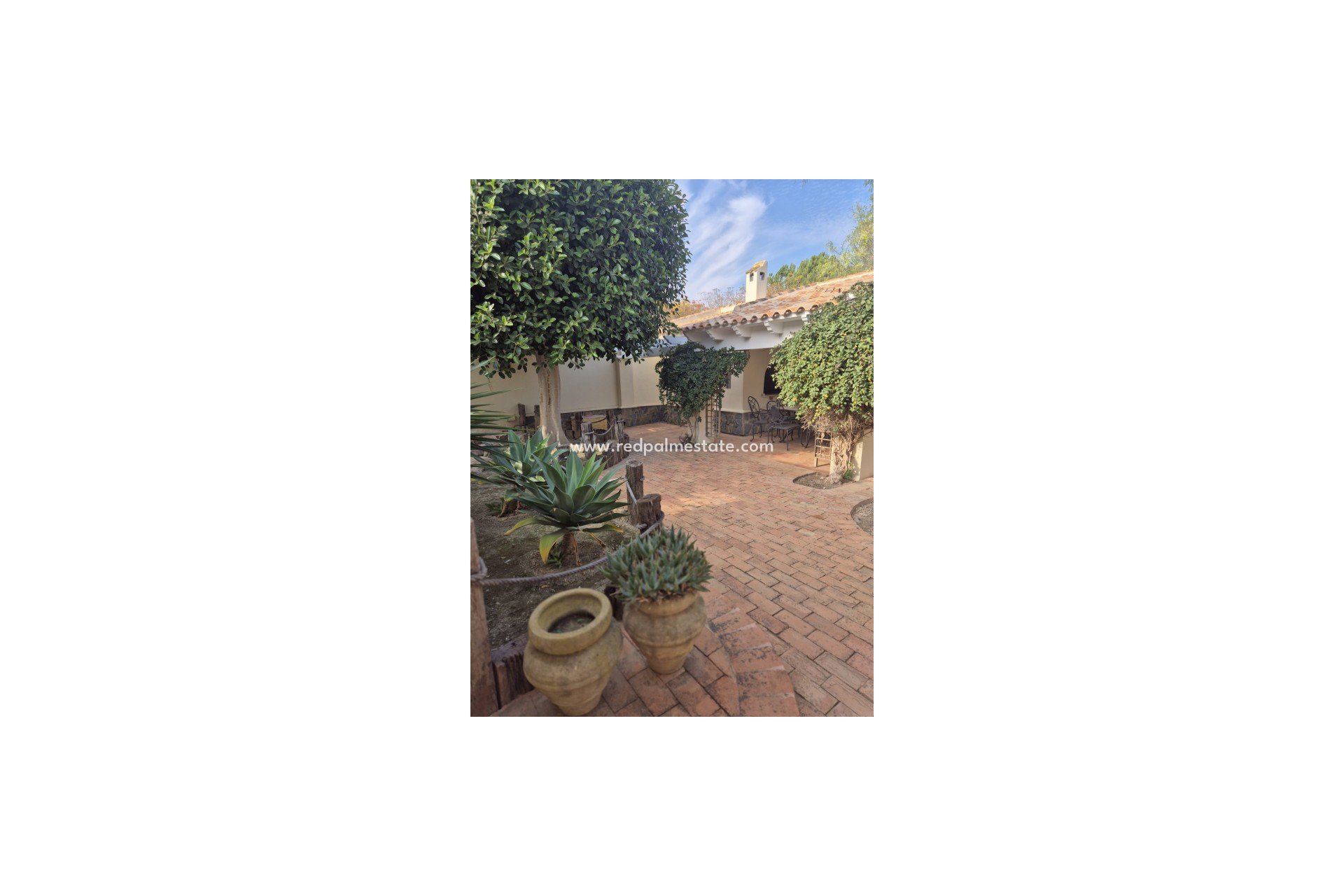 Resale - Finca / Country Property -
Daya Vieja