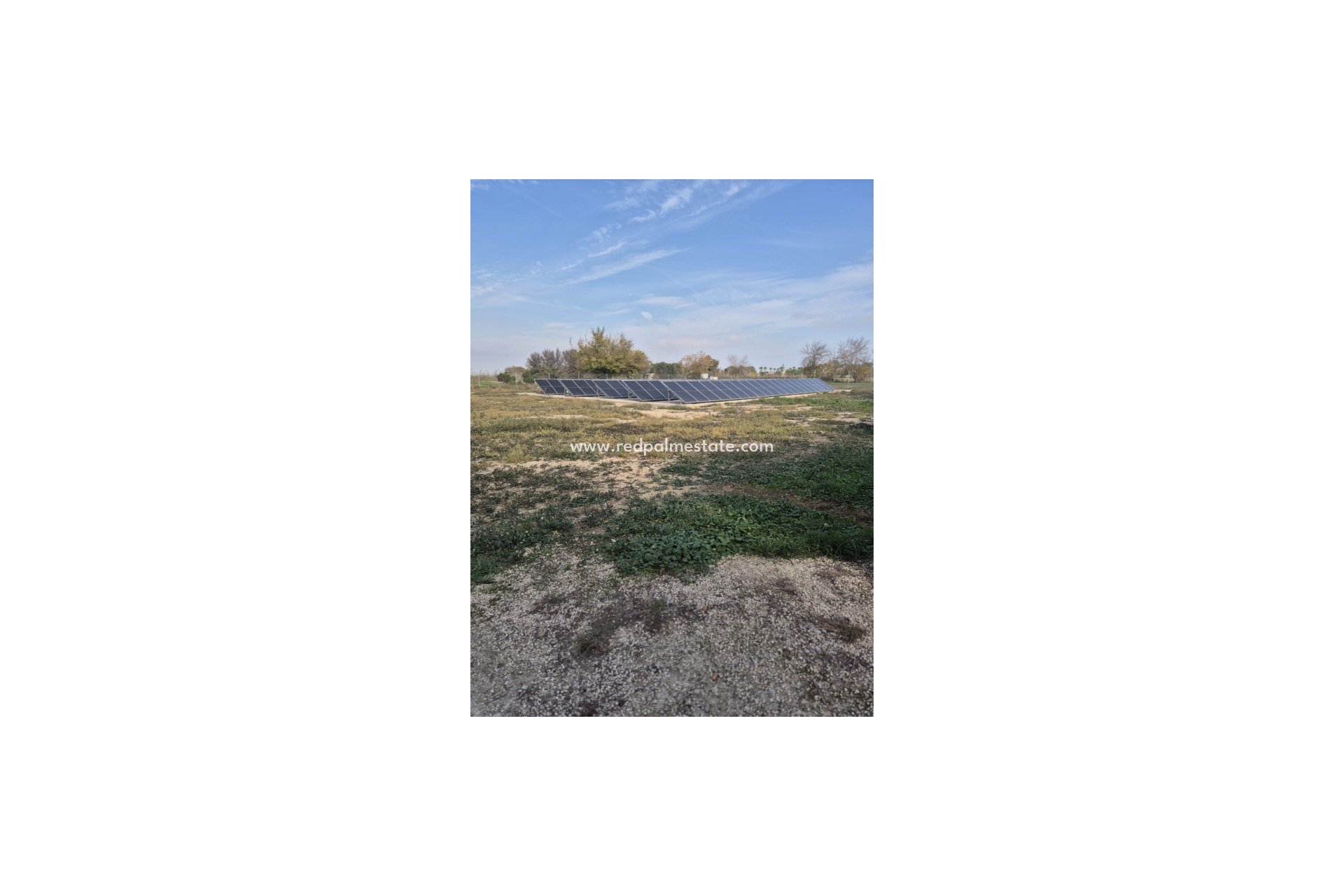 Resale - Finca / Country Property -
Daya Vieja