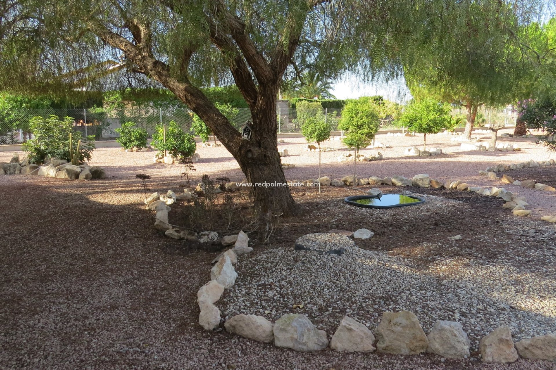 Resale - Finca / Country Property -
Daya Vieja