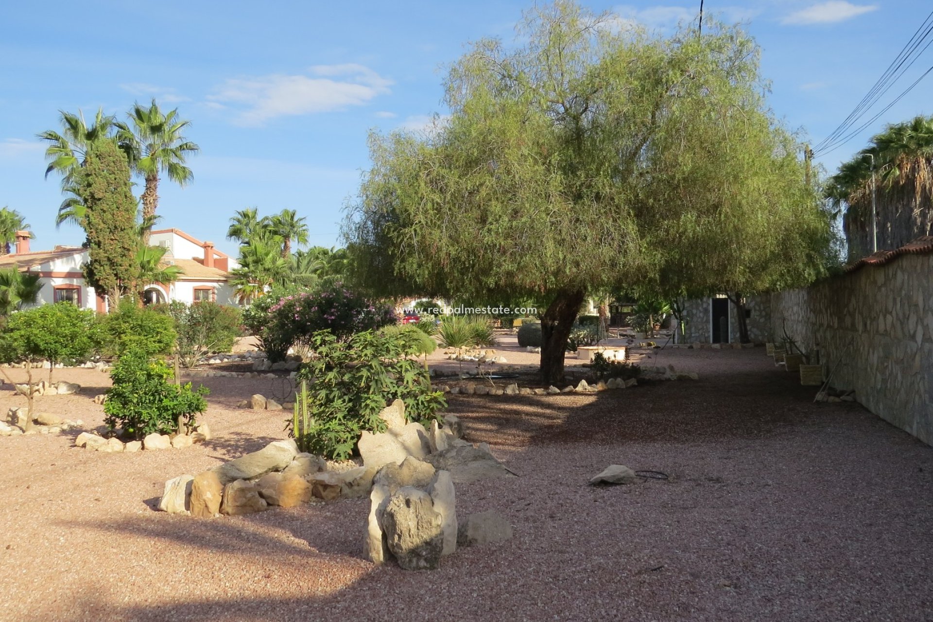 Resale - Finca / Country Property -
Daya Vieja