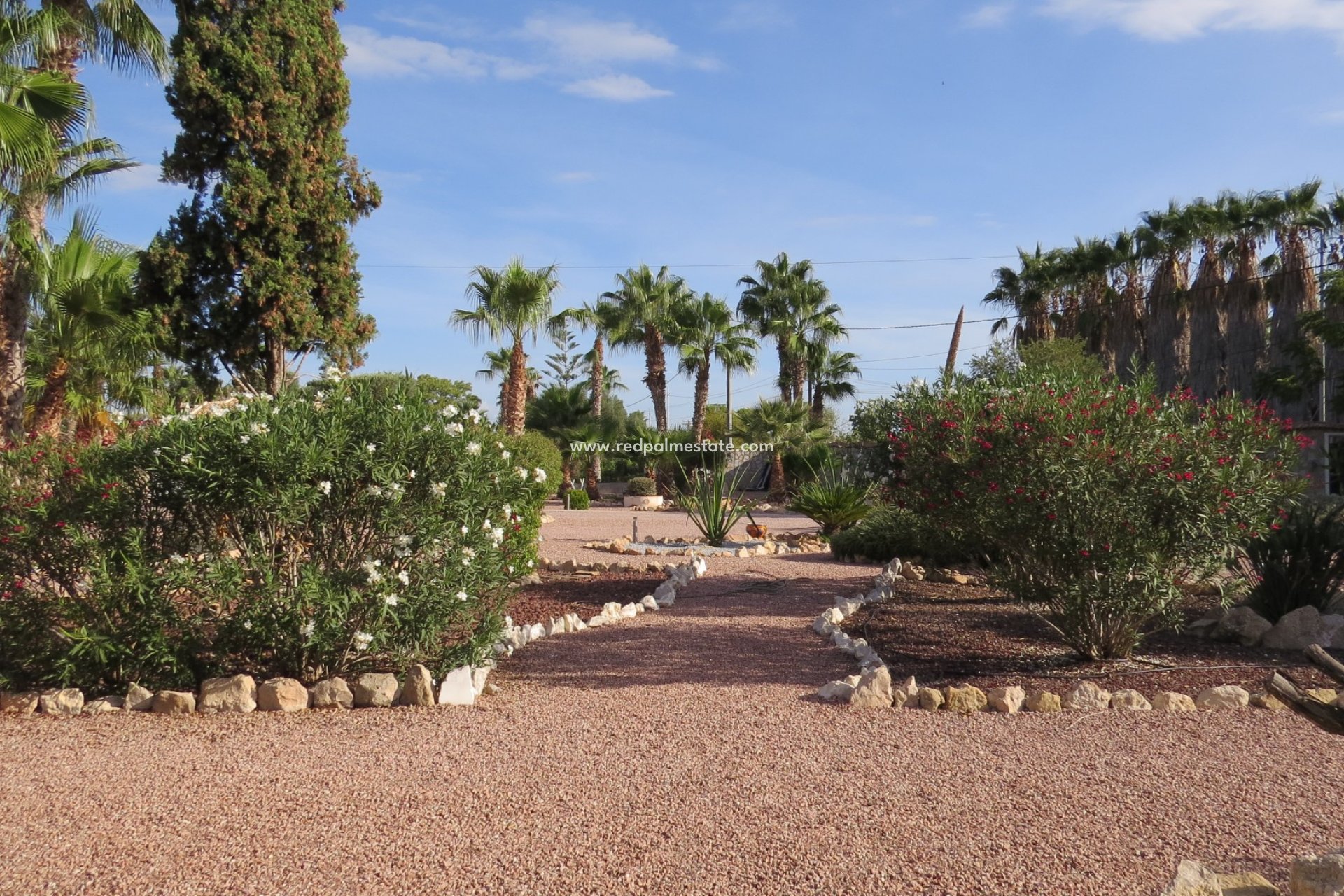 Resale - Finca / Country Property -
Daya Vieja