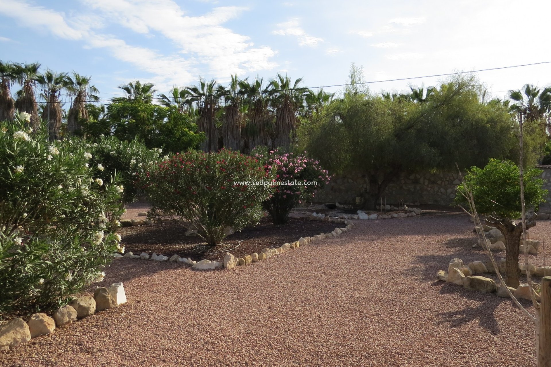 Resale - Finca / Country Property -
Daya Vieja