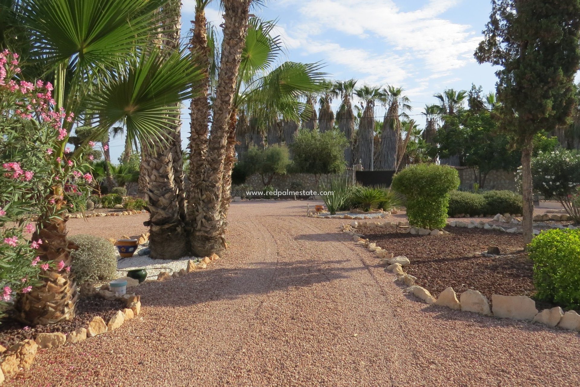 Resale - Finca / Country Property -
Daya Vieja