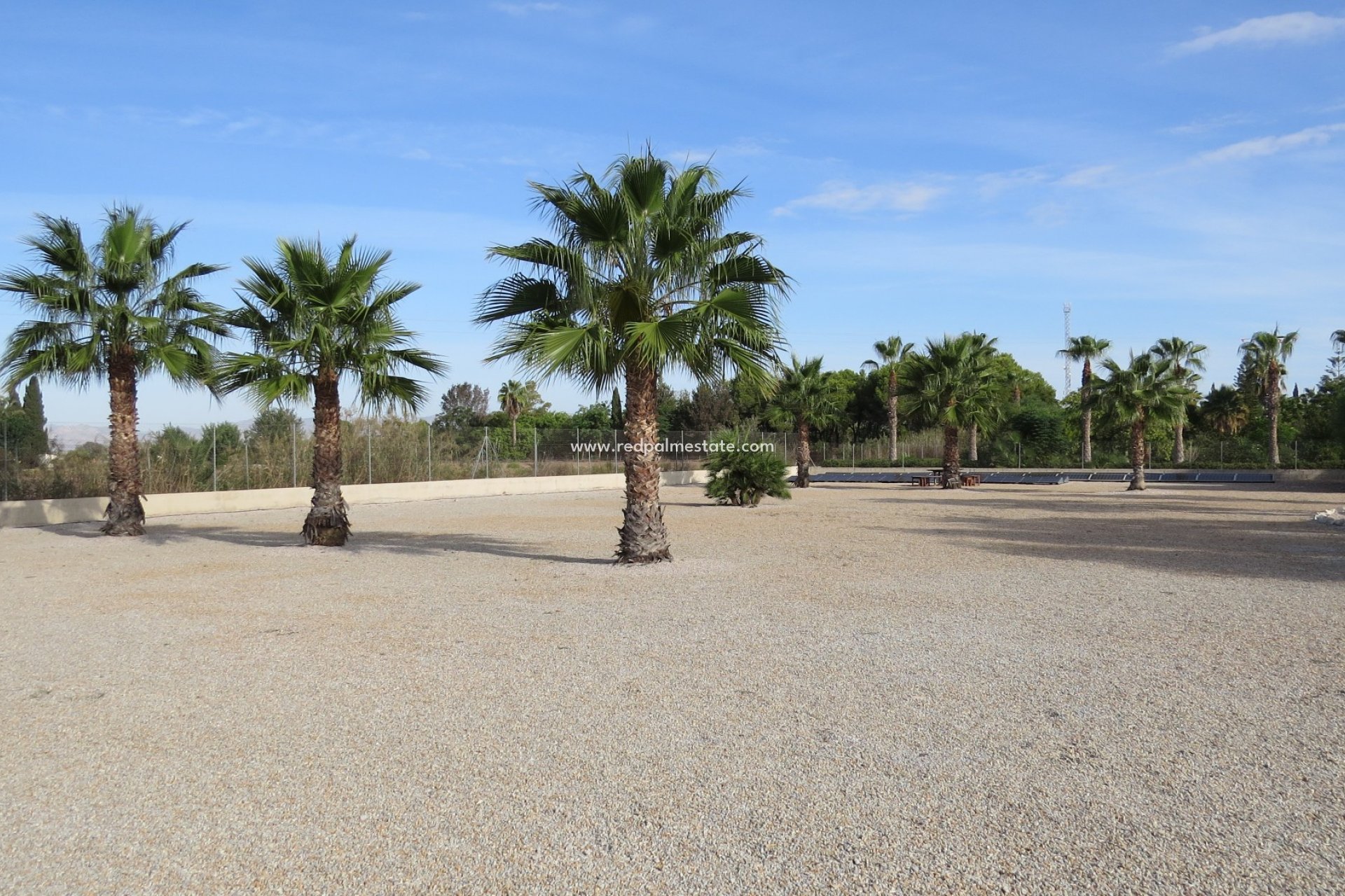 Resale - Finca / Country Property -
Daya Vieja