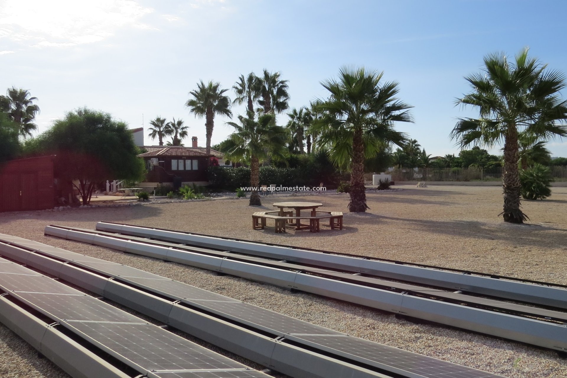 Resale - Finca / Country Property -
Daya Vieja