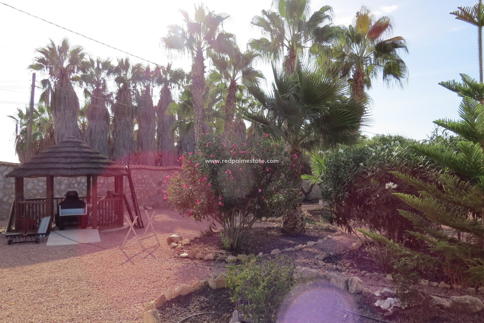 Resale - Finca / Country Property -
Daya Vieja