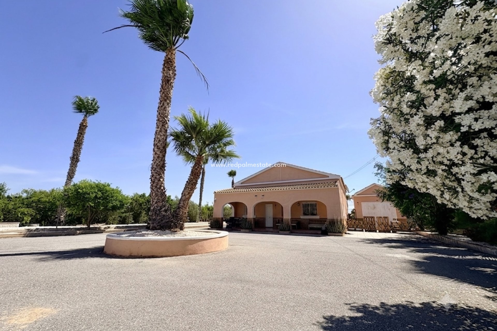 Resale - Finca / Country Property -
Dolores - Costa Blanca