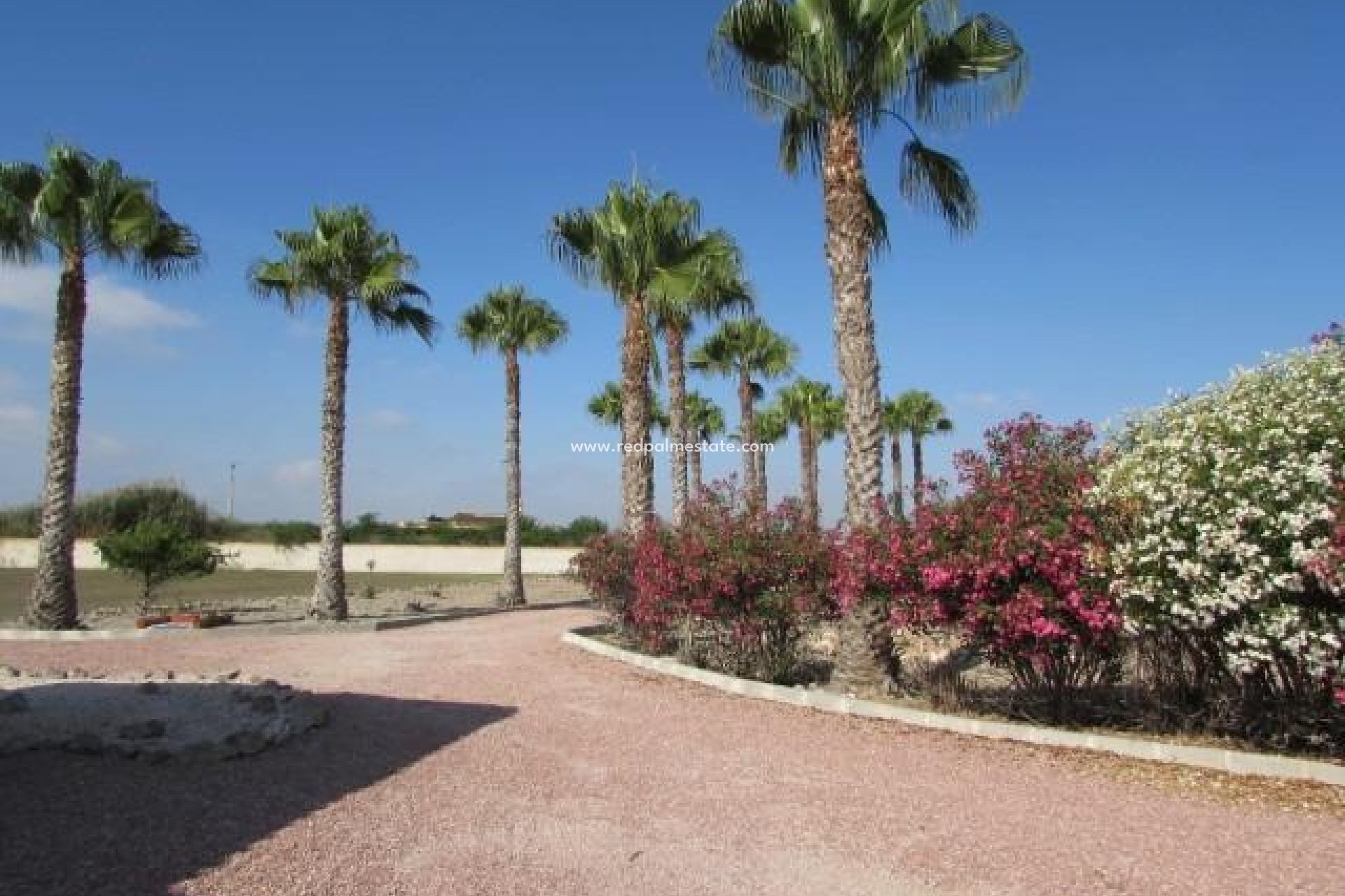 Resale - Finca / Country Property -
Dolores