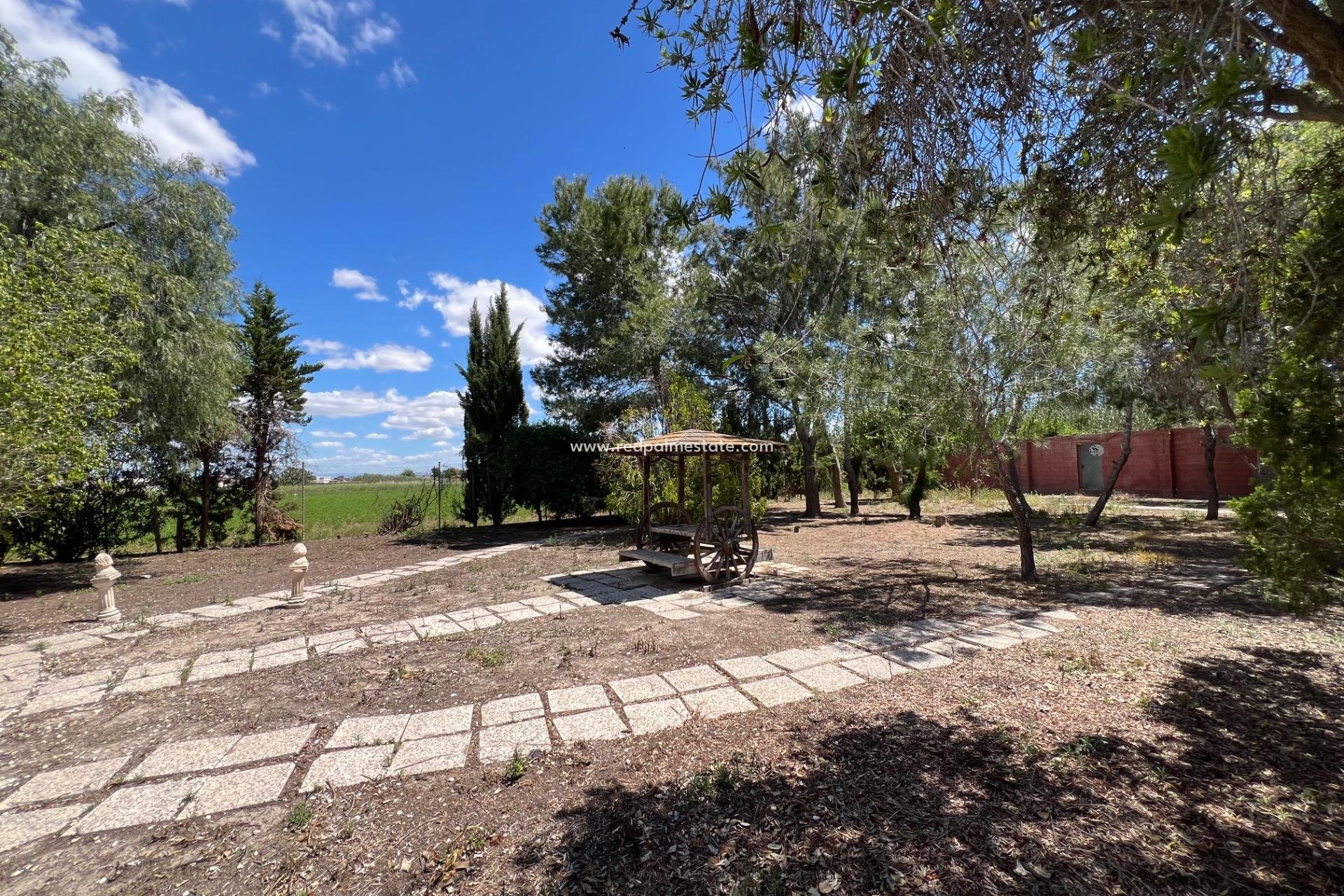 Resale - Finca / Country Property -
Dolores