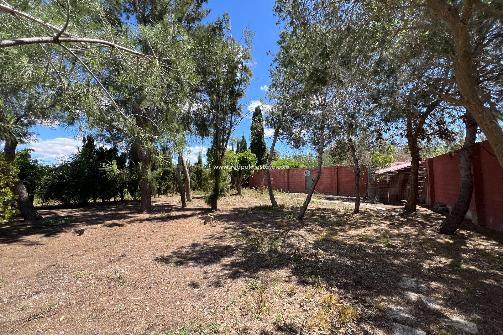 Resale - Finca / Country Property -
Dolores