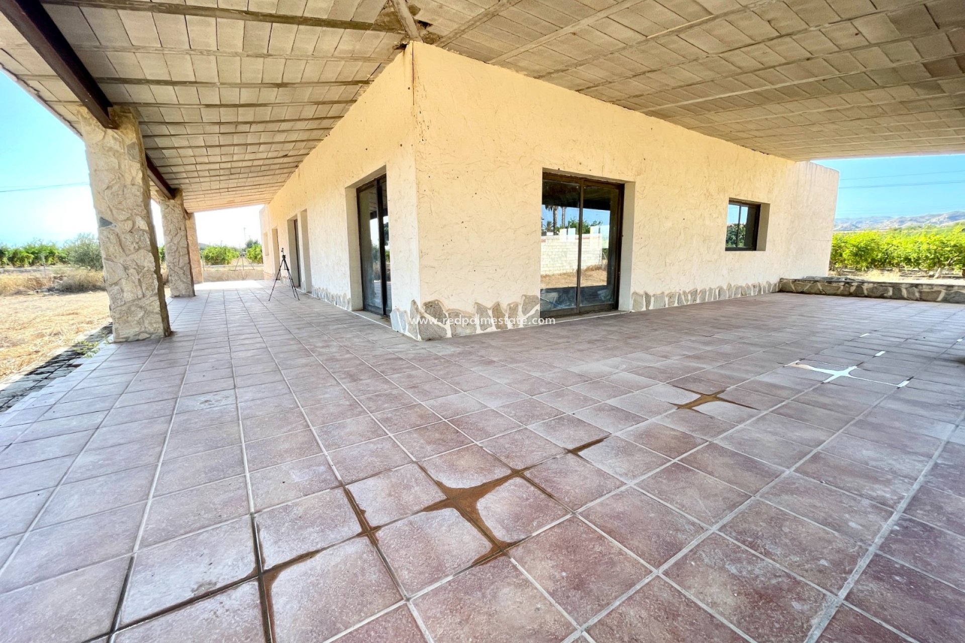 Resale - Finca / Country Property -
Elche - Costa Blanca