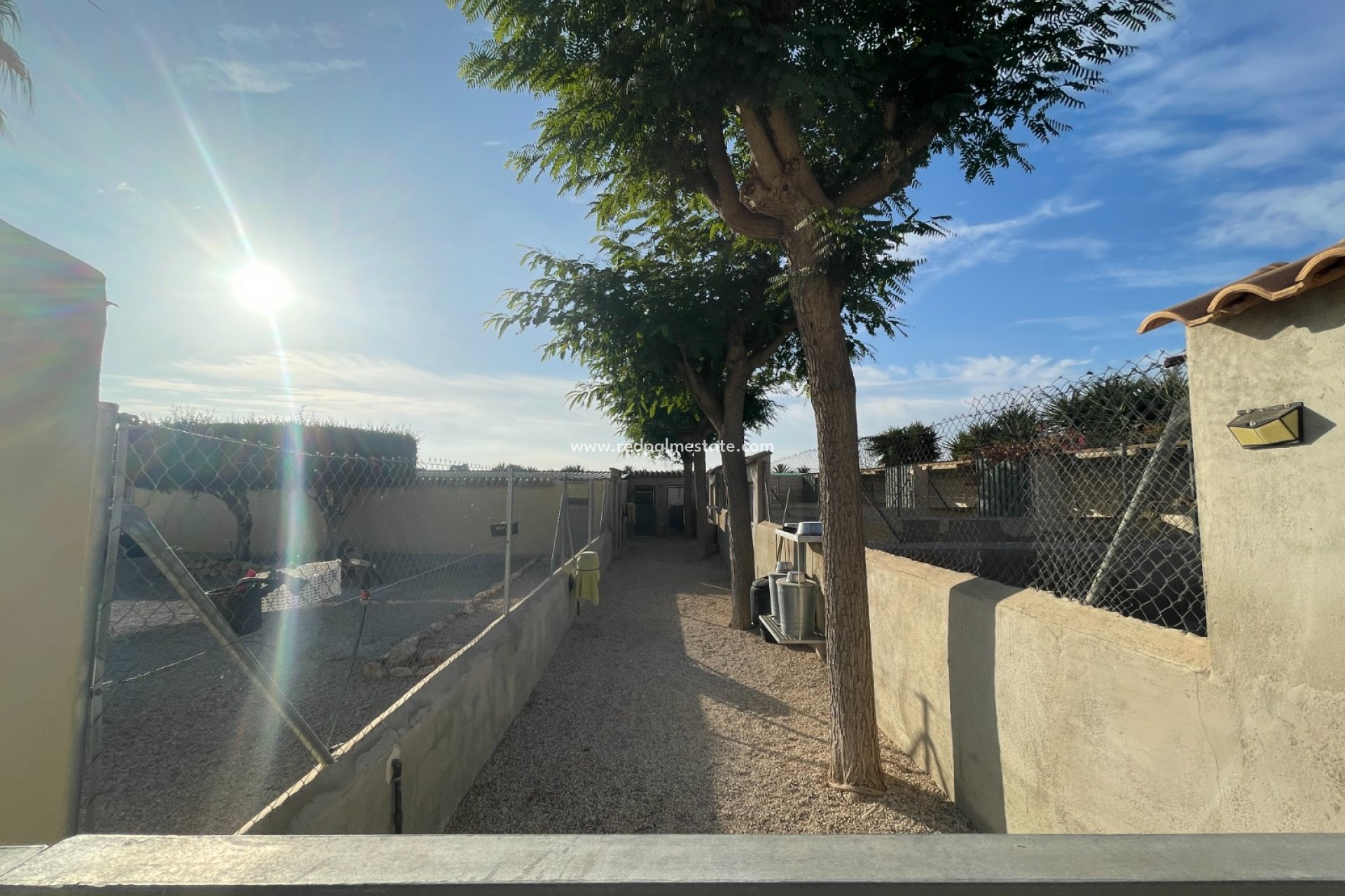 Resale - Finca / Country Property -
Elche - Costa Blanca