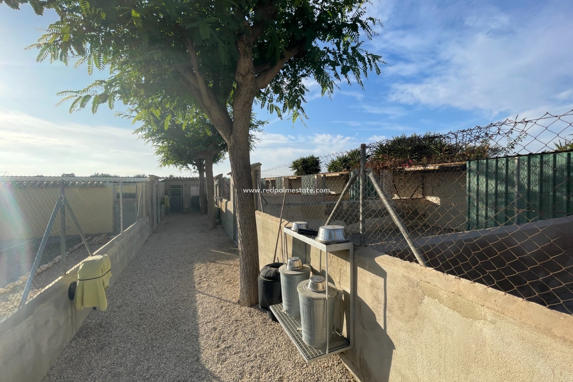 Resale - Finca / Country Property -
Elche - Costa Blanca