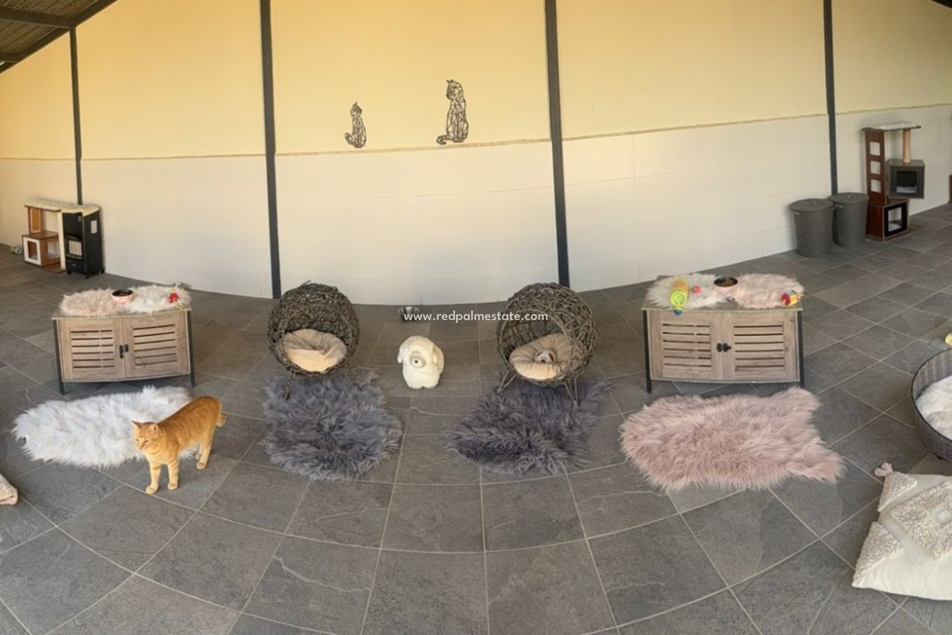 Resale - Finca / Country Property -
Elche - Costa Blanca