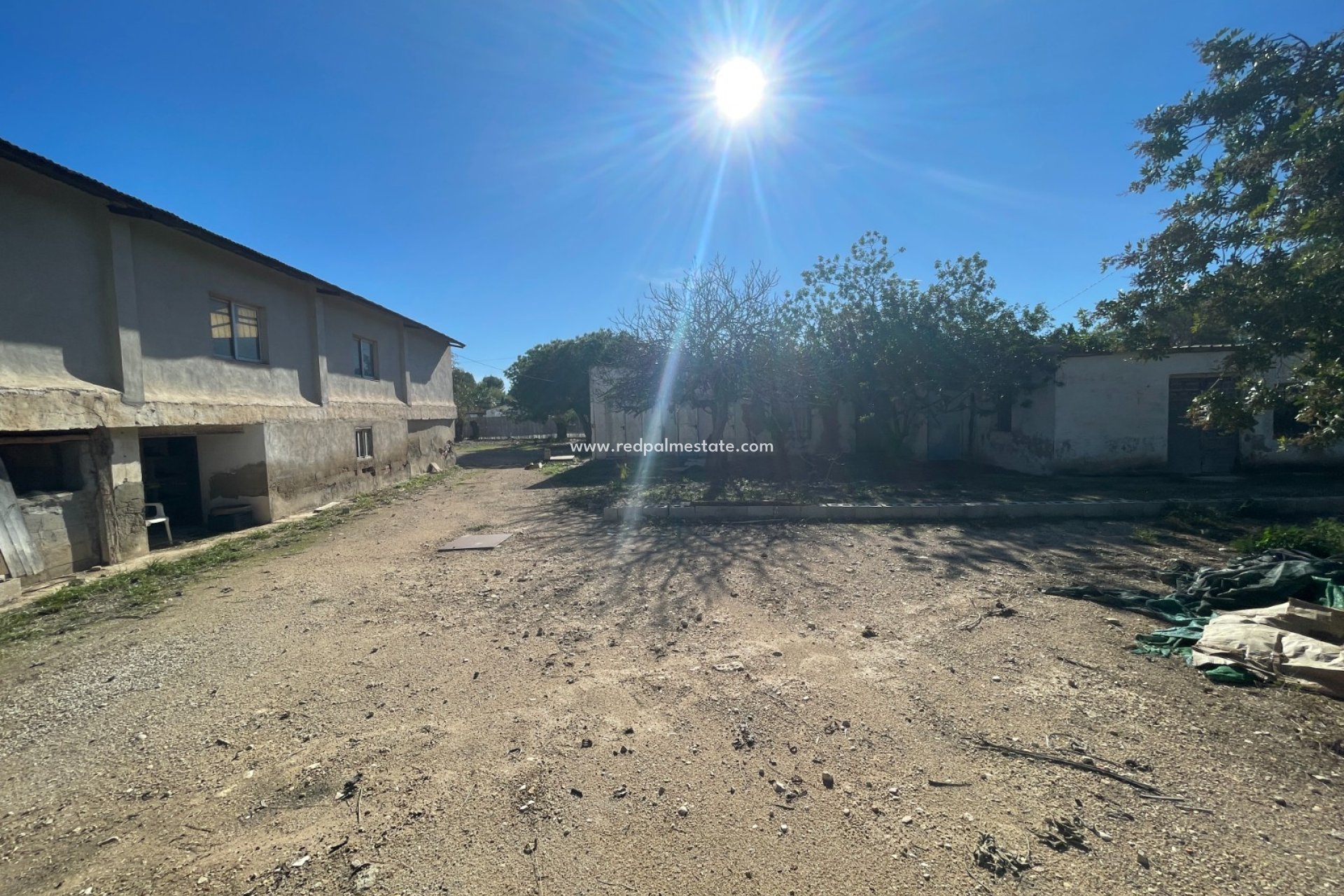 Resale - Finca / Country Property -
Elche - Costa Blanca