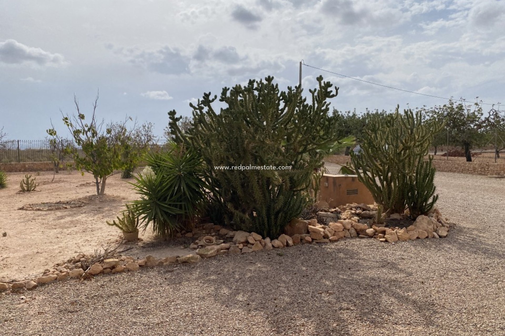 Resale - Finca / Country Property -
Fuente Álamo - Fuente Alamo