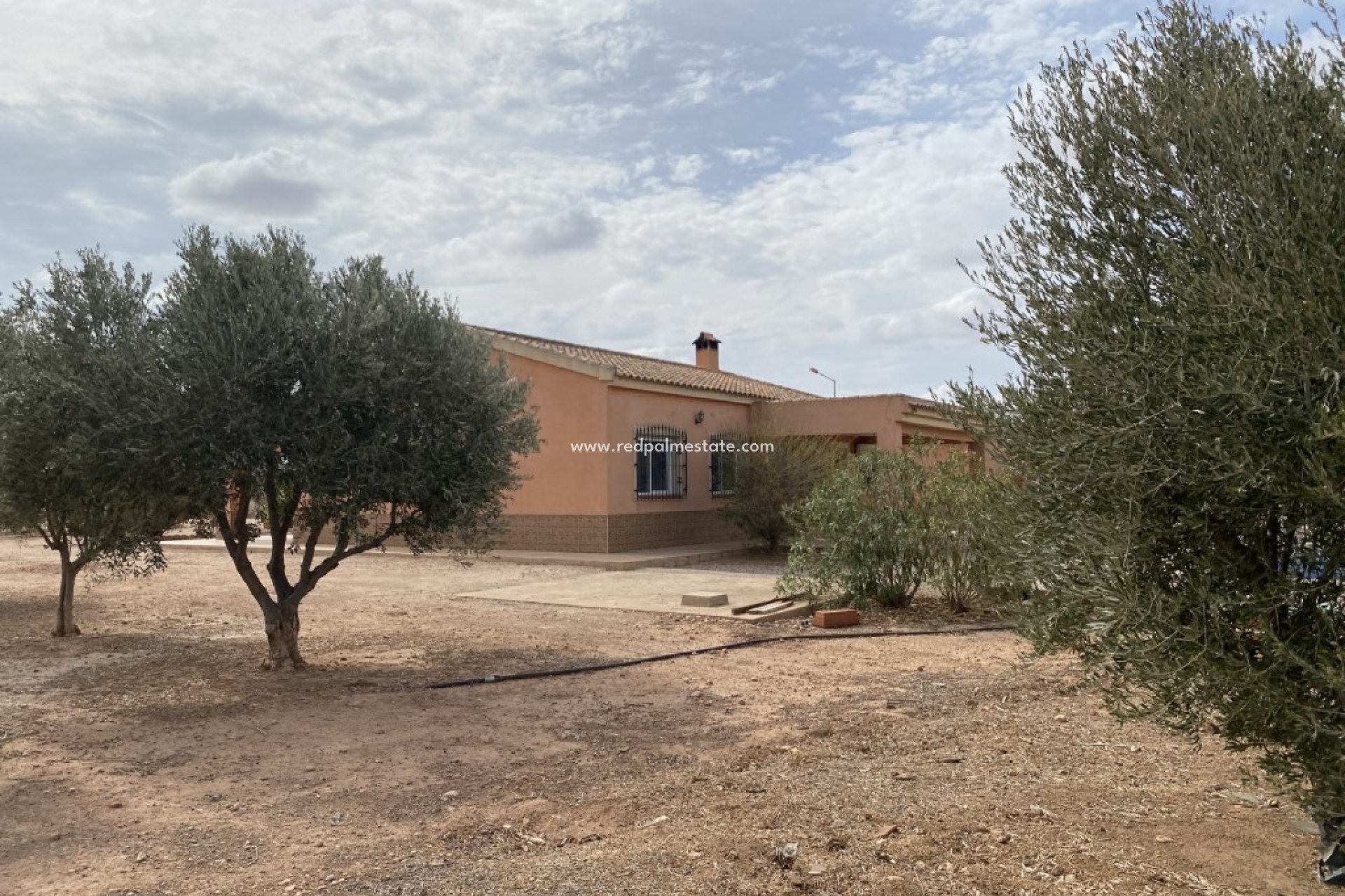 Resale - Finca / Country Property -
Fuente Álamo - Fuente Alamo