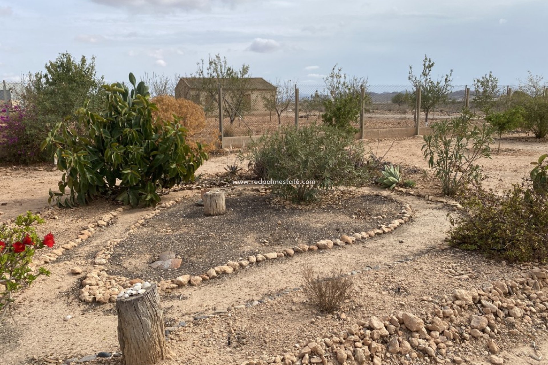 Resale - Finca / Country Property -
Fuente Álamo - Fuente Alamo