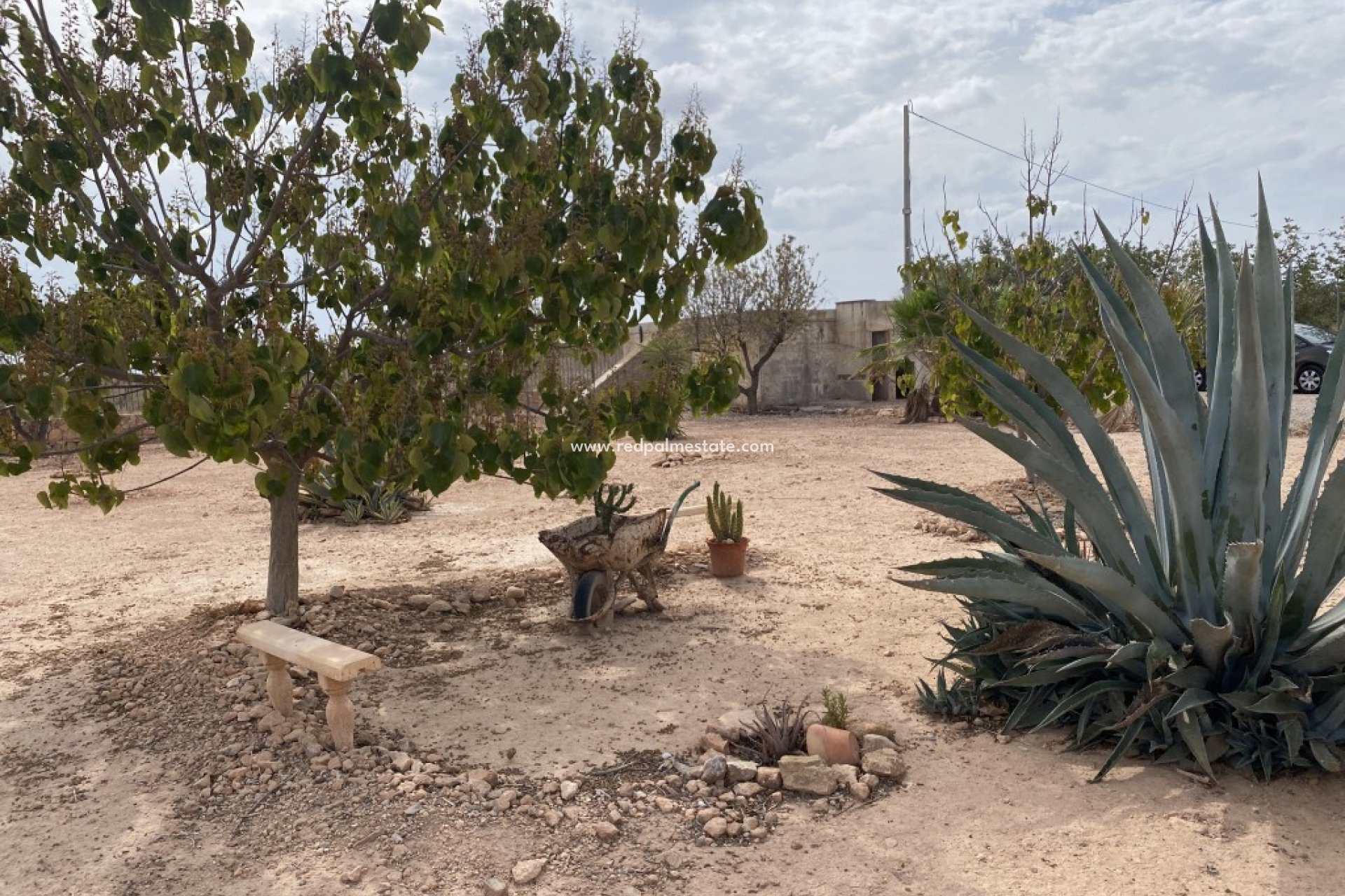 Resale - Finca / Country Property -
Fuente Álamo - Fuente Alamo