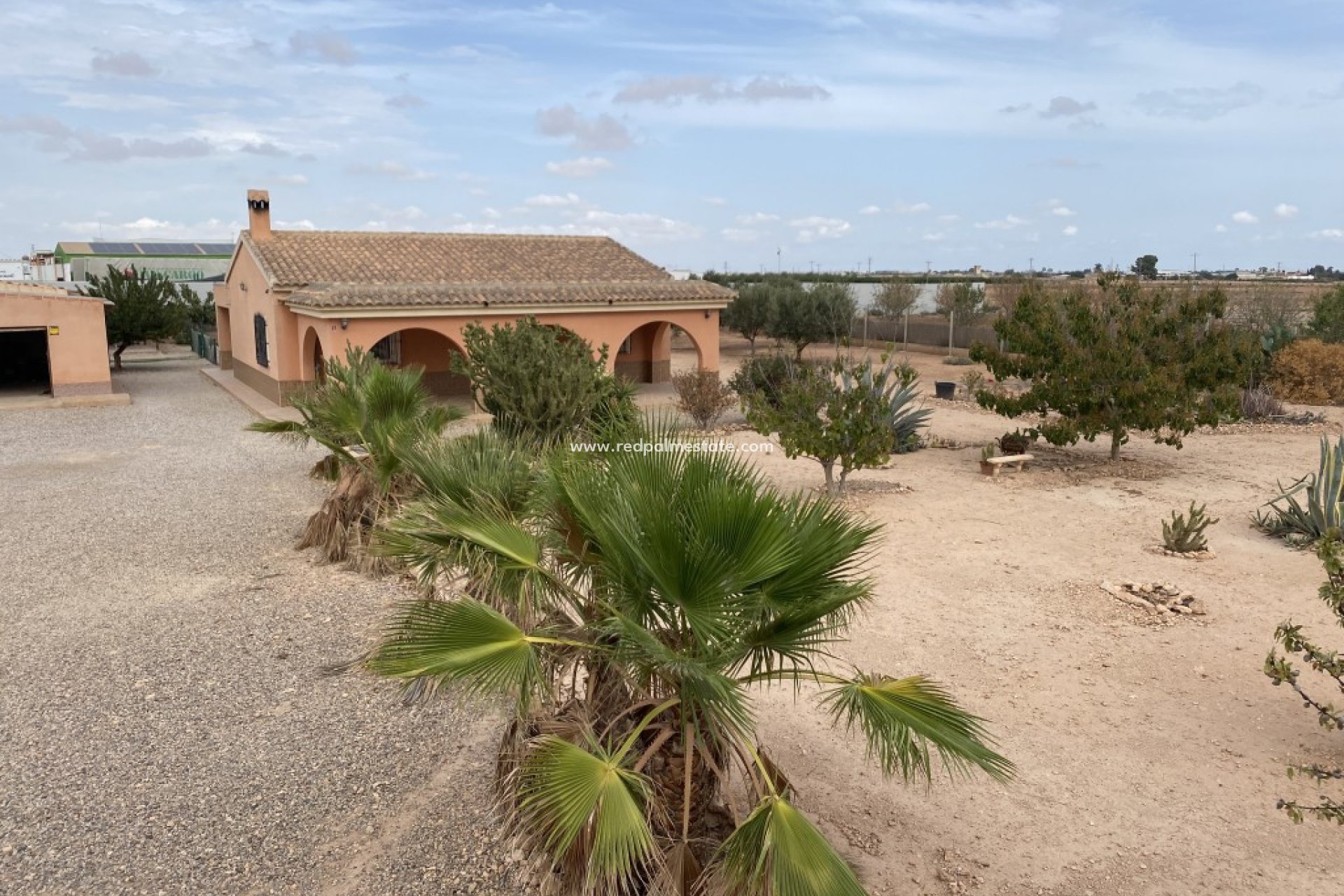 Resale - Finca / Country Property -
Fuente Álamo - Fuente Alamo