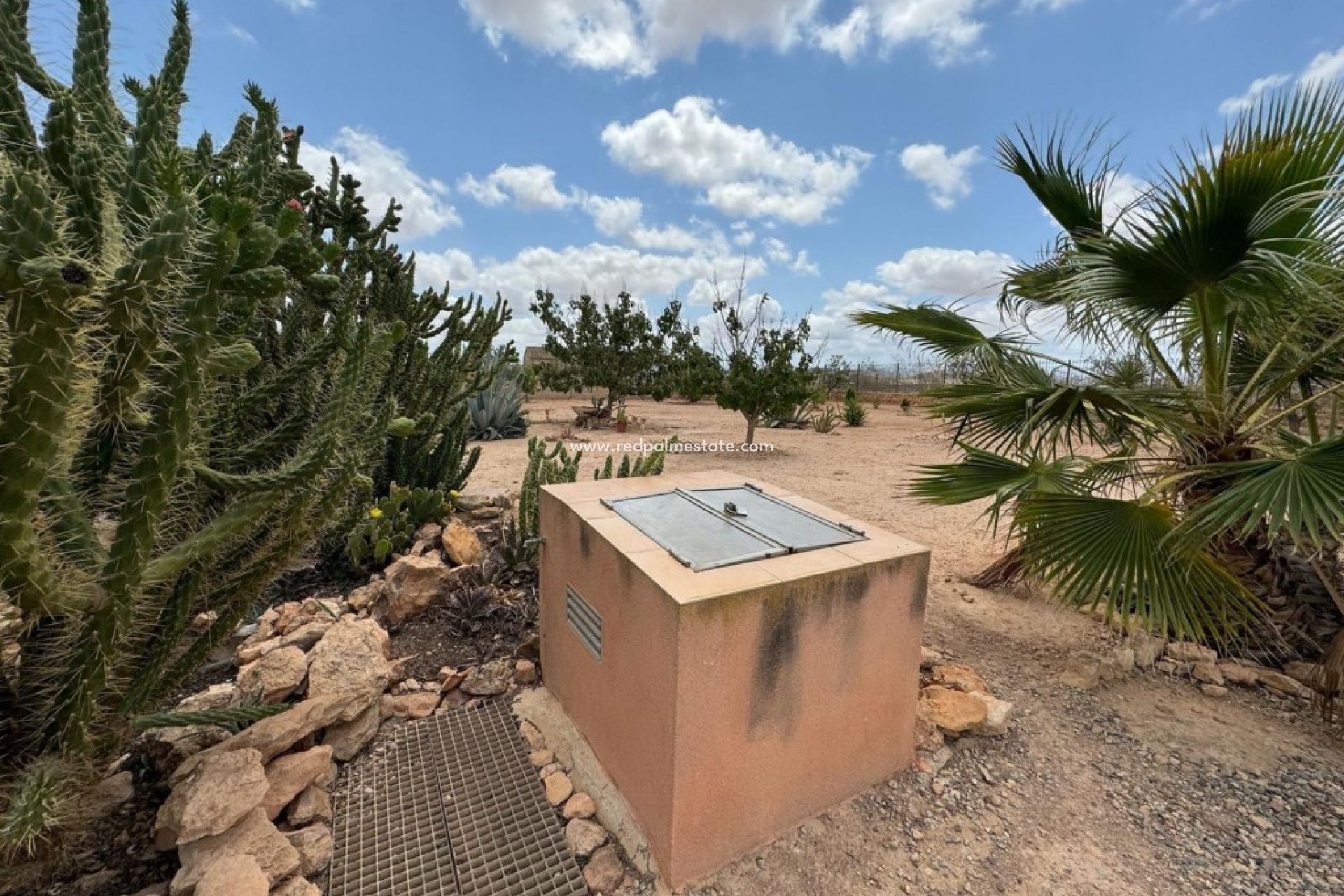 Resale - Finca / Country Property -
Fuente Álamo - Fuente Alamo