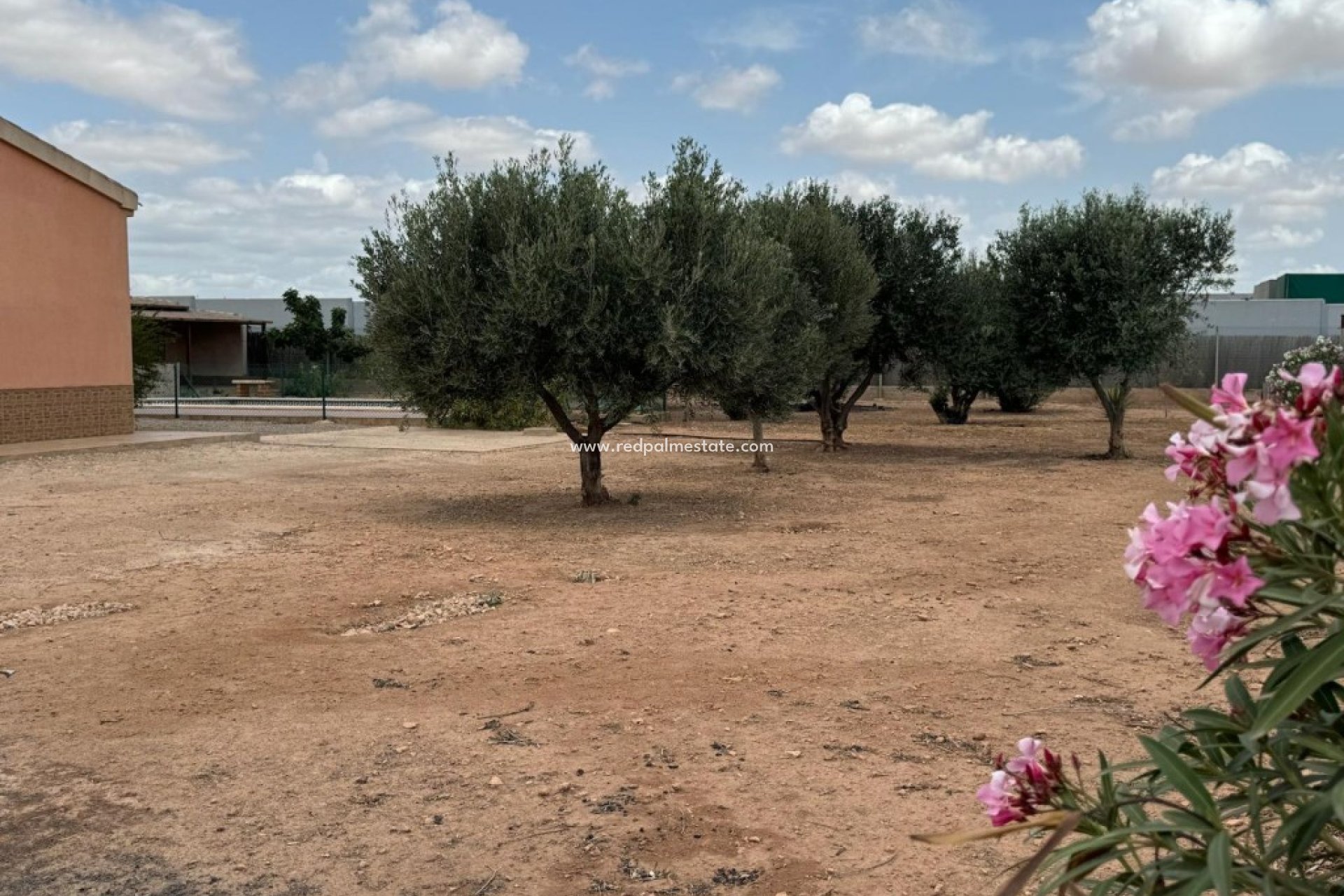 Resale - Finca / Country Property -
Fuente Álamo - Fuente Alamo