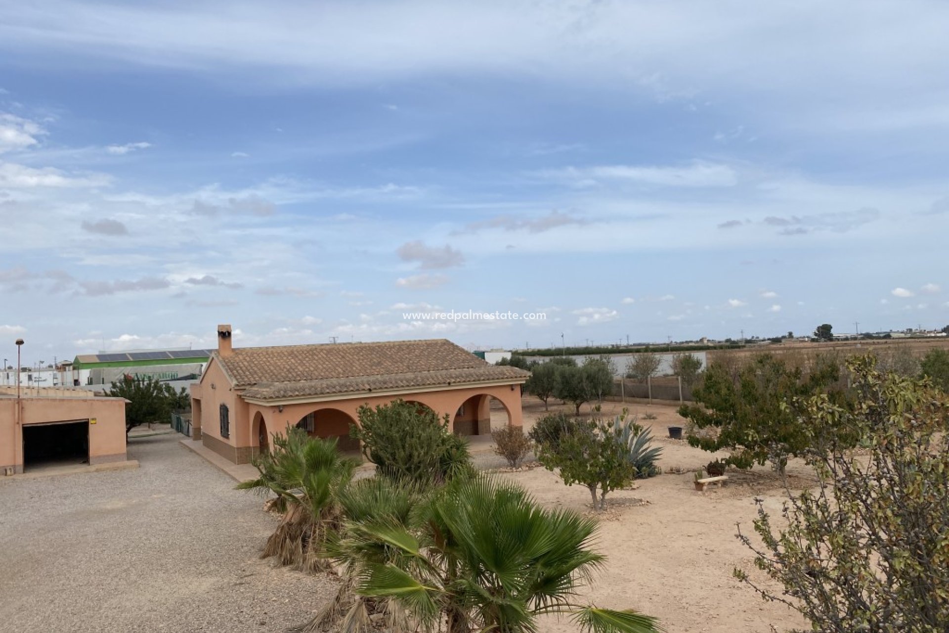 Resale - Finca / Country Property -
Fuente Álamo - Fuente Alamo