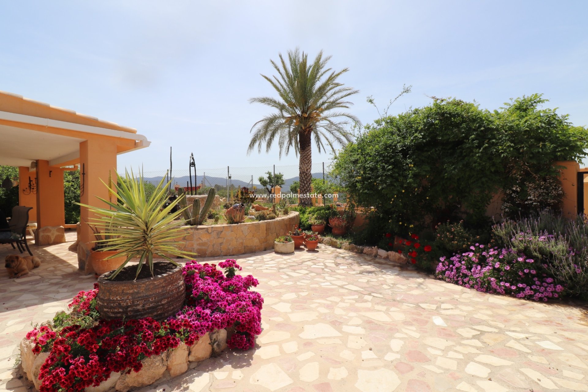 Resale - Finca / Country Property -
Hondón de las Nieves - Inland