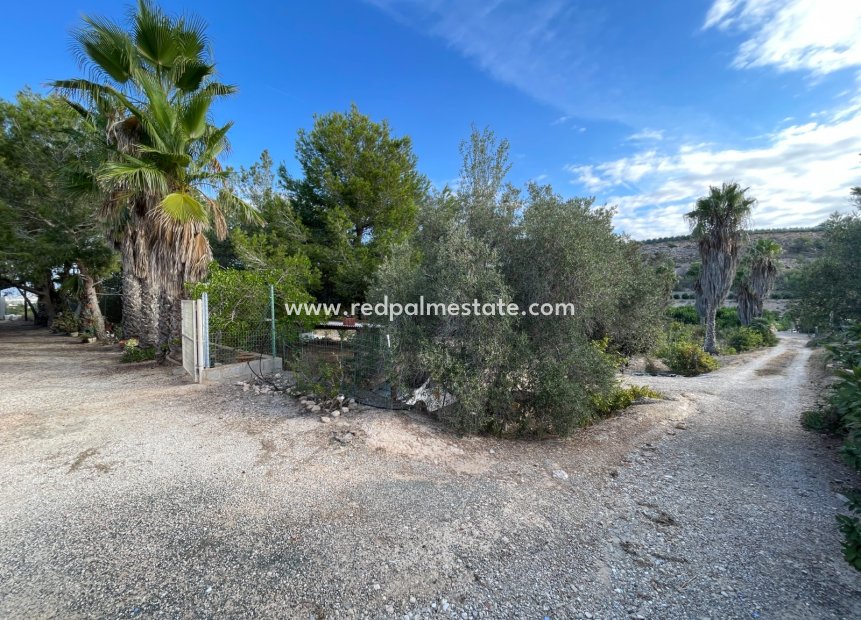Resale - Finca / Country Property -
Jacarilla - Inland