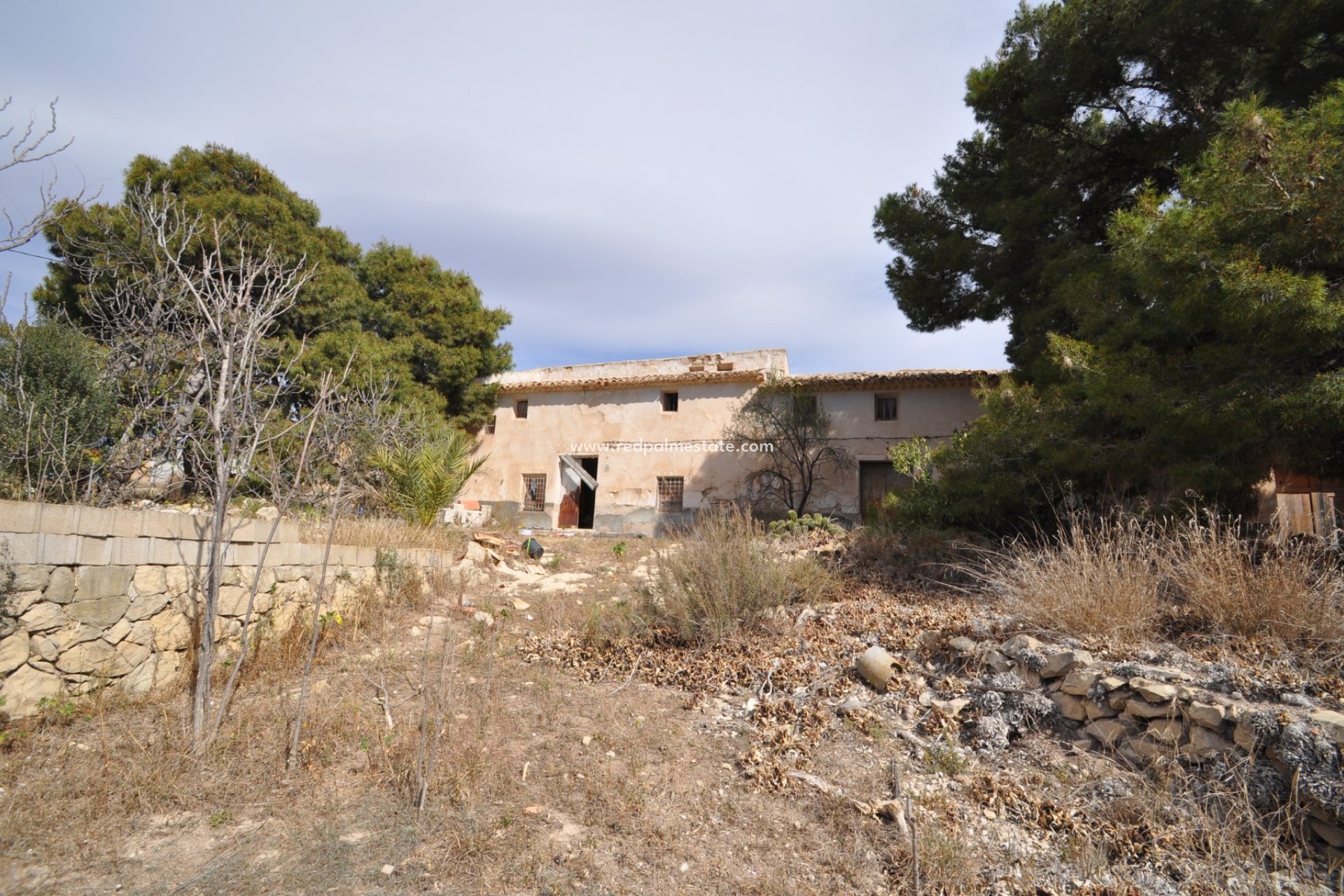 Resale - Finca / Country Property -
Monóvar/Monóver - Inland