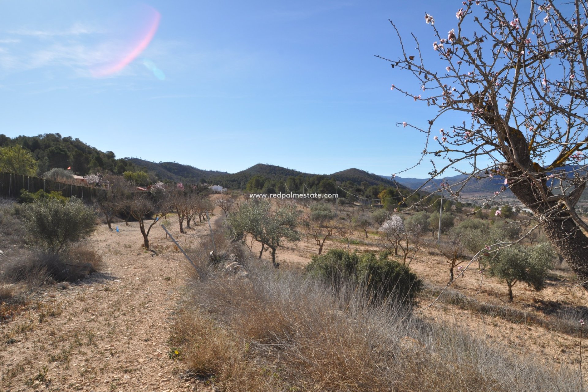Resale - Finca / Country Property -
Monóvar/Monóver - Inland