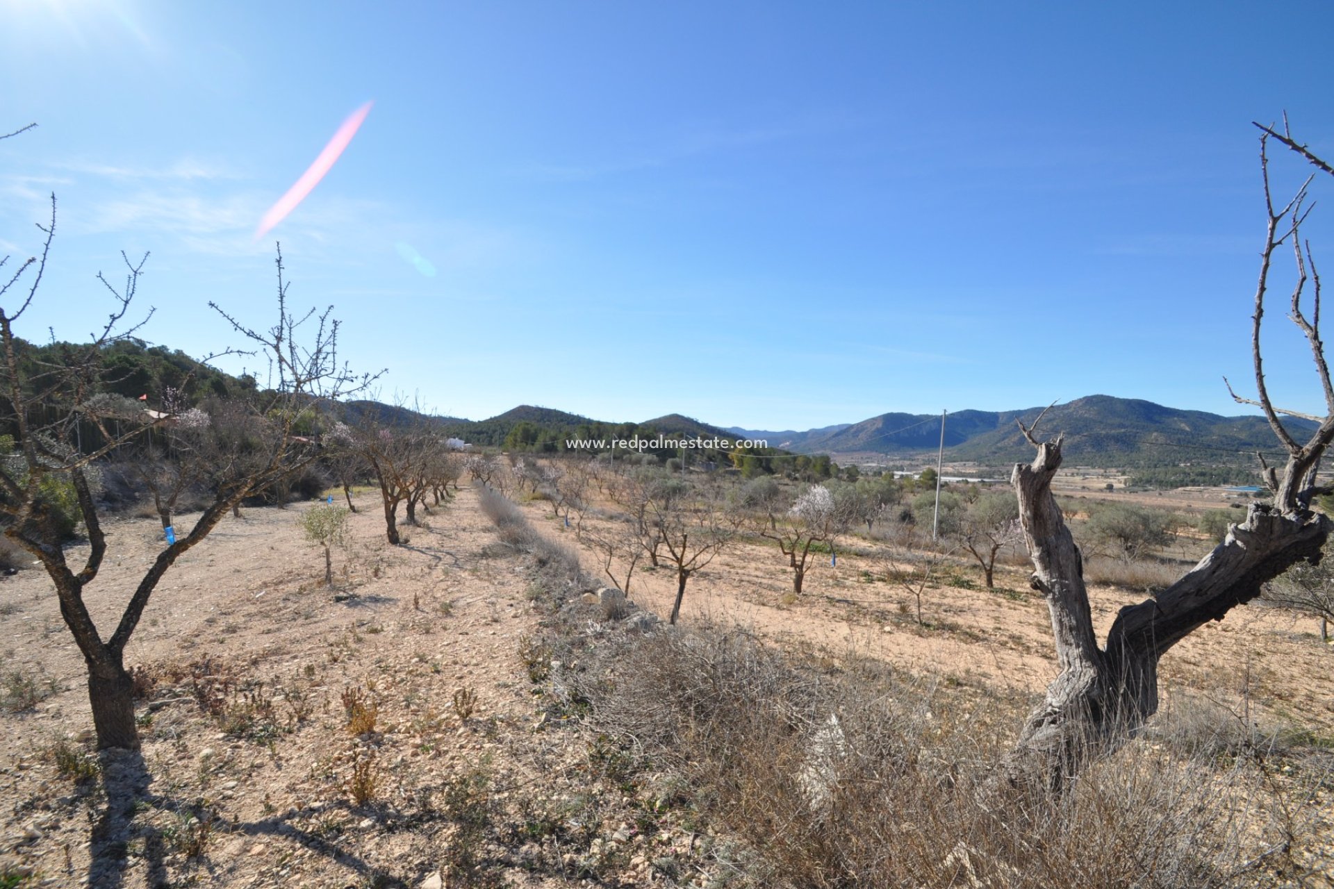 Resale - Finca / Country Property -
Monóvar/Monóver - Inland