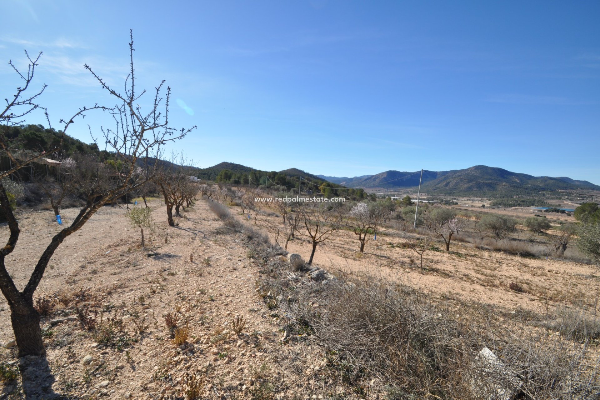 Resale - Finca / Country Property -
Monóvar/Monóver - Inland